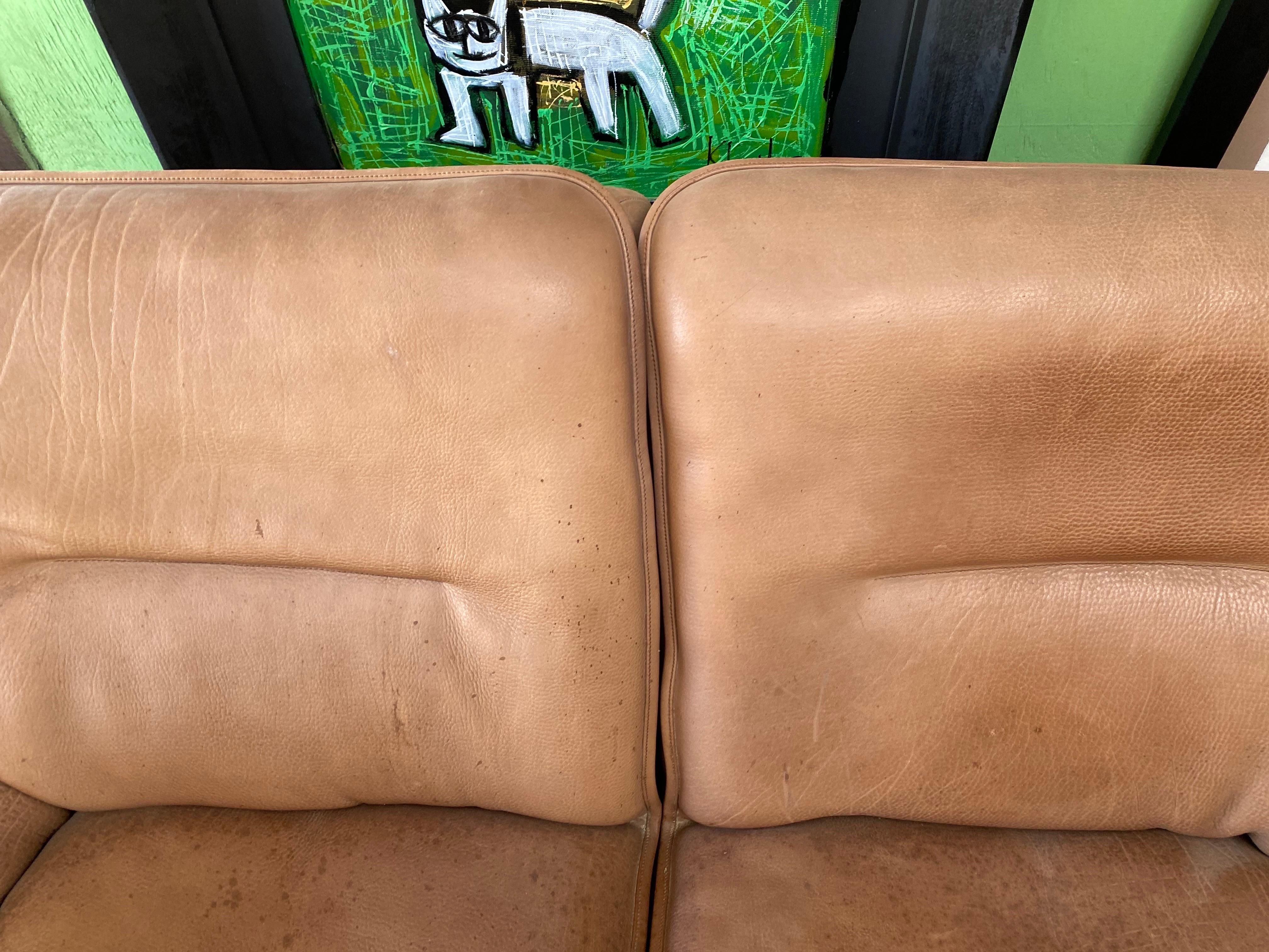 Vintage Buffalo Leather Two-Seater De Sede Ds 63 In Good Condition In San Antonio, TX