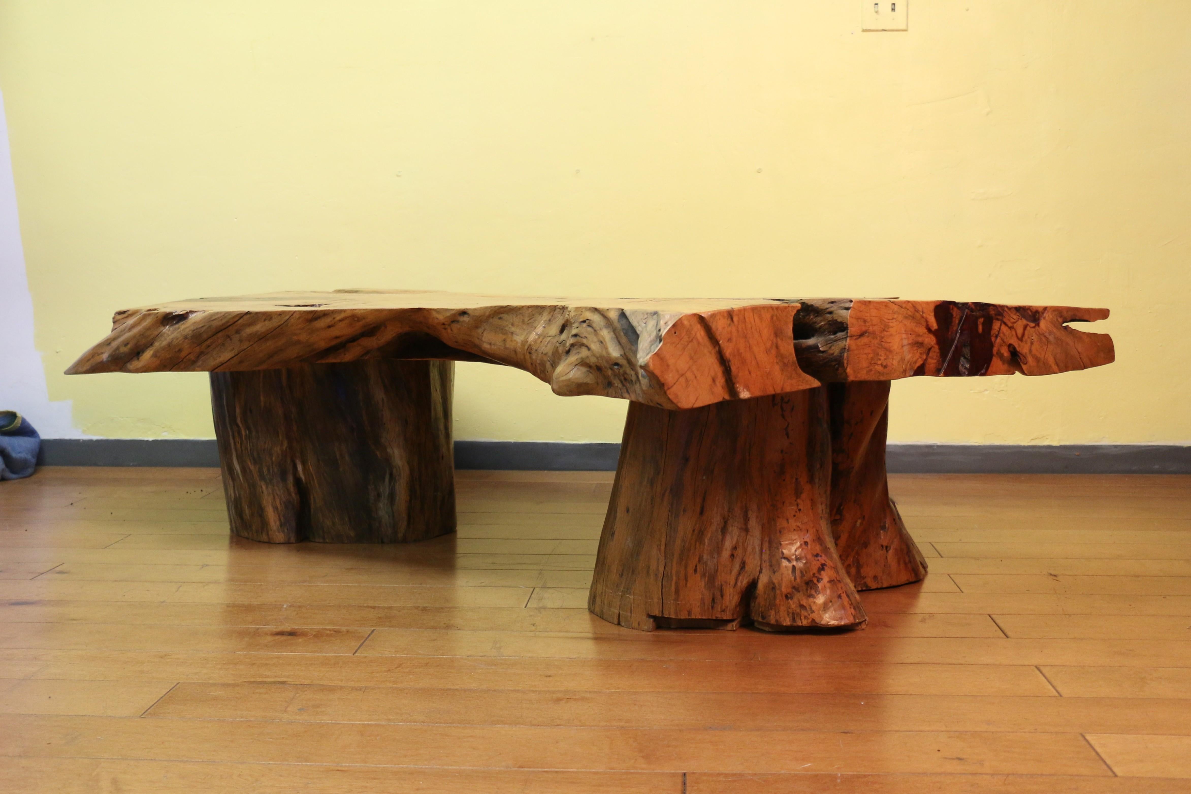 Vintage Burl Wood Coffee Table With Solid Tree Trunk Bases For Sale 7