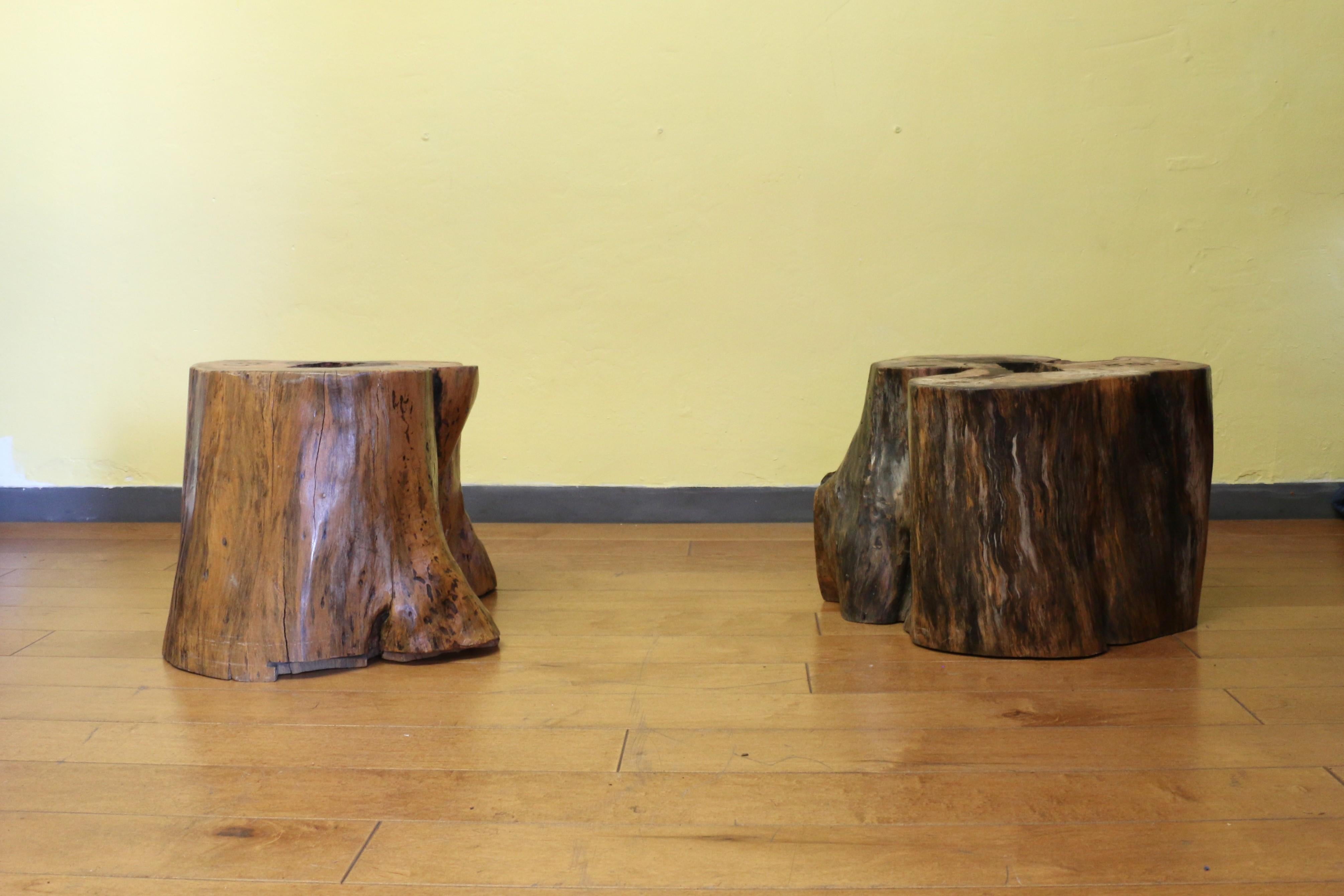 Vintage Burl Wood Coffee Table With Solid Tree Trunk Bases For Sale 11