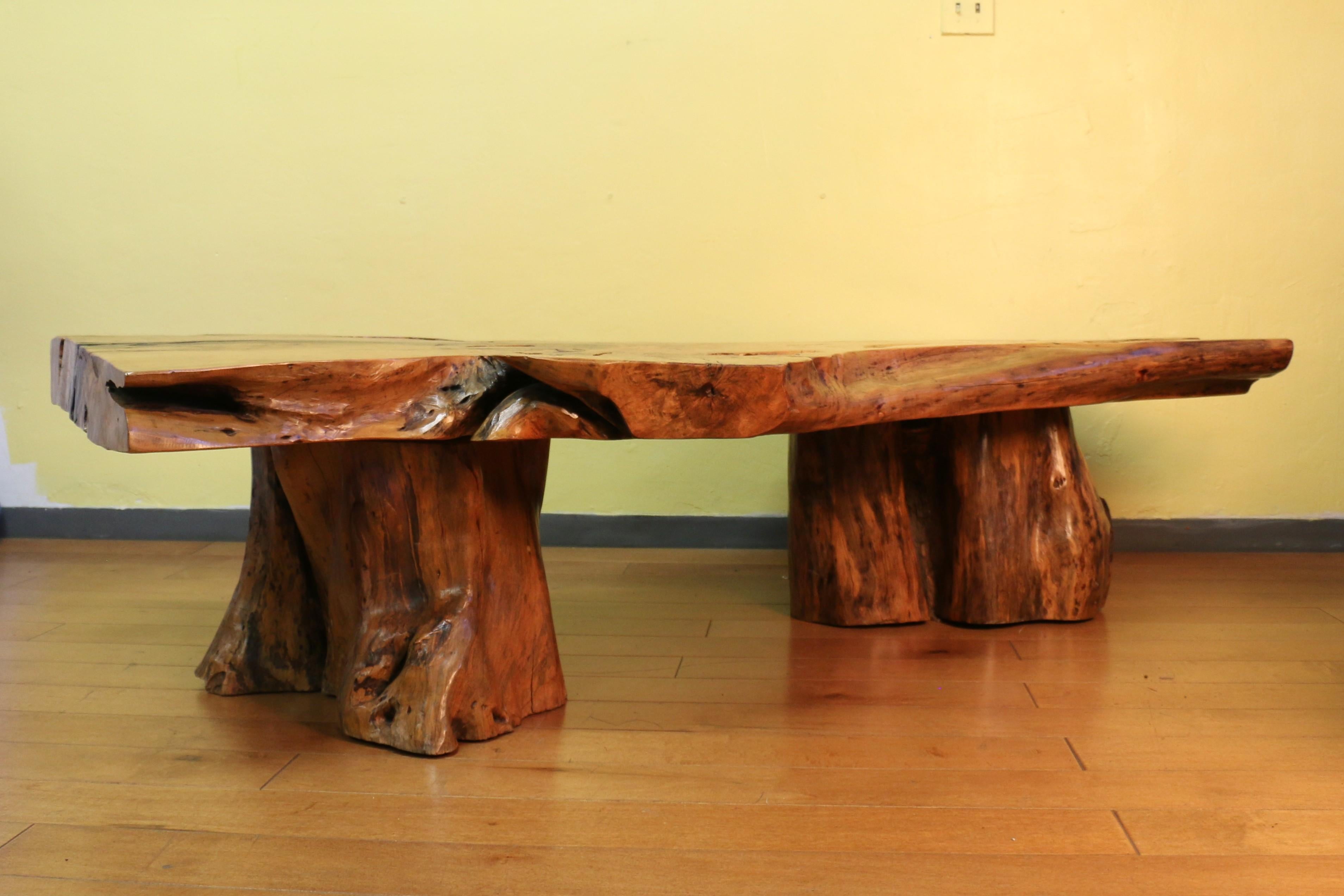 Spectacular sculptural burl wooden coffee table. This amazing natural burl-wood coffee table has two trunk wood bases which gives it an organic and an interesting texture airy feel on the top. This stunning coffee table will bring such a great