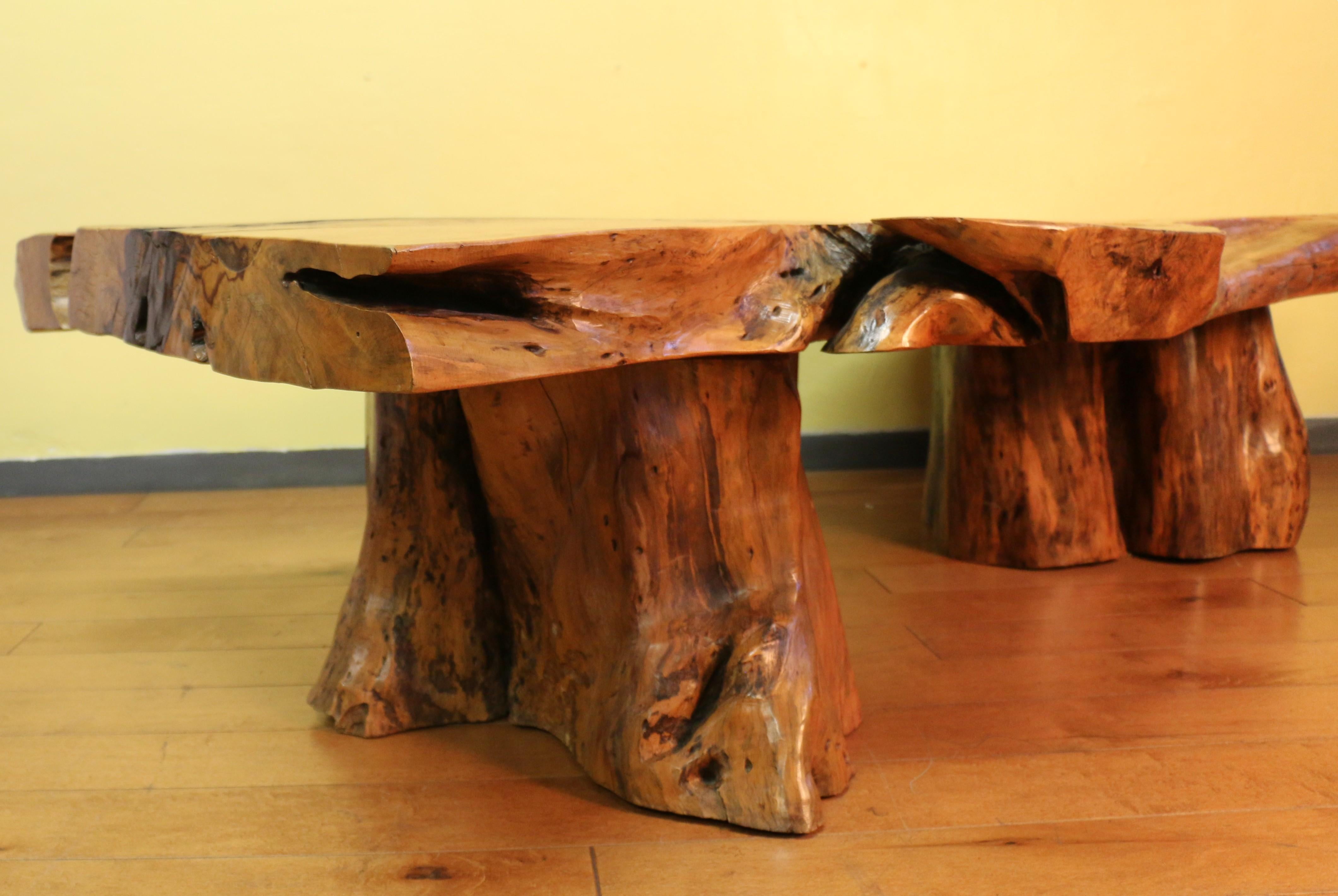 American Vintage Burl Wood Coffee Table With Solid Tree Trunk Bases For Sale