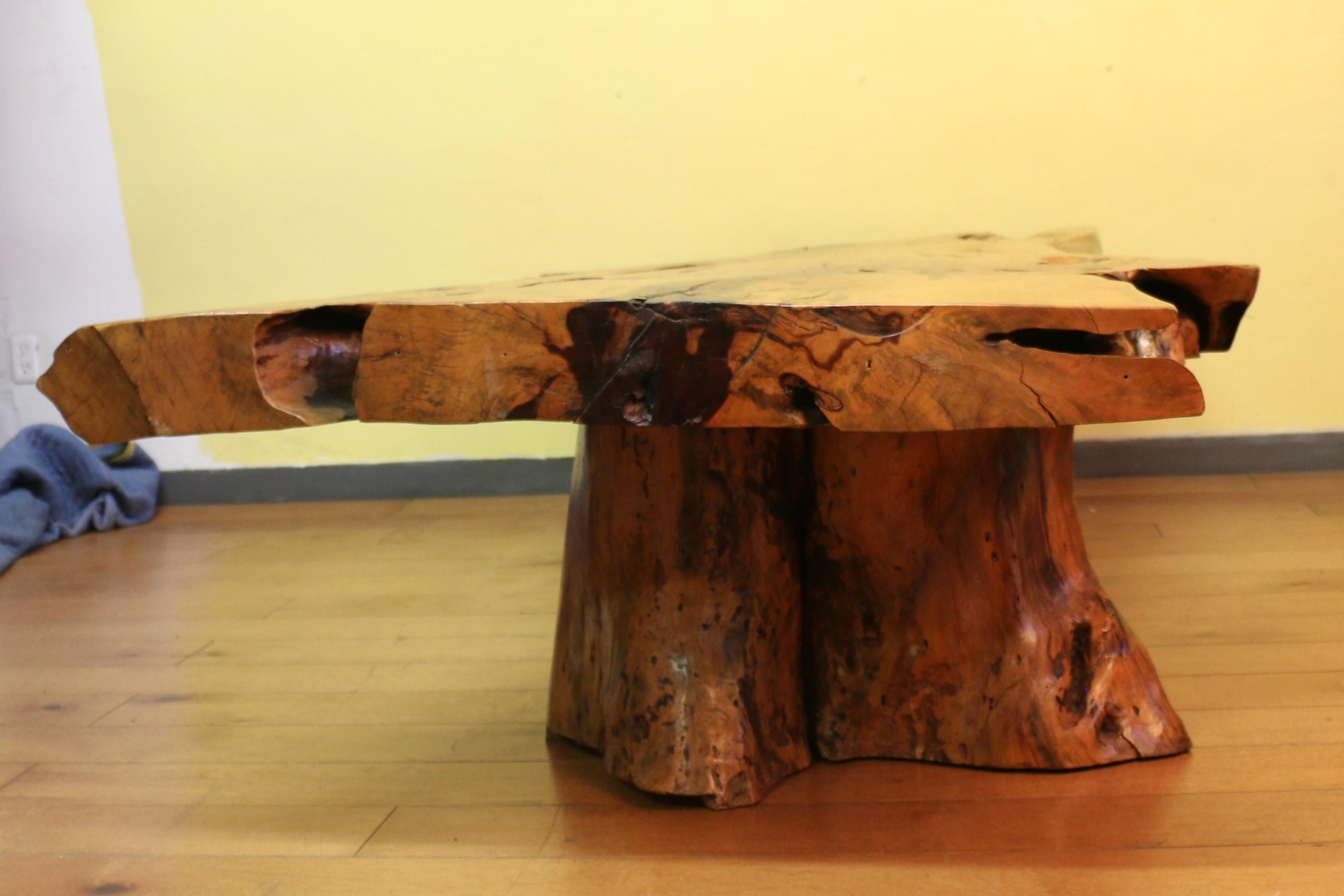 Late 20th Century Vintage Burl Wood Coffee Table With Solid Tree Trunk Bases For Sale