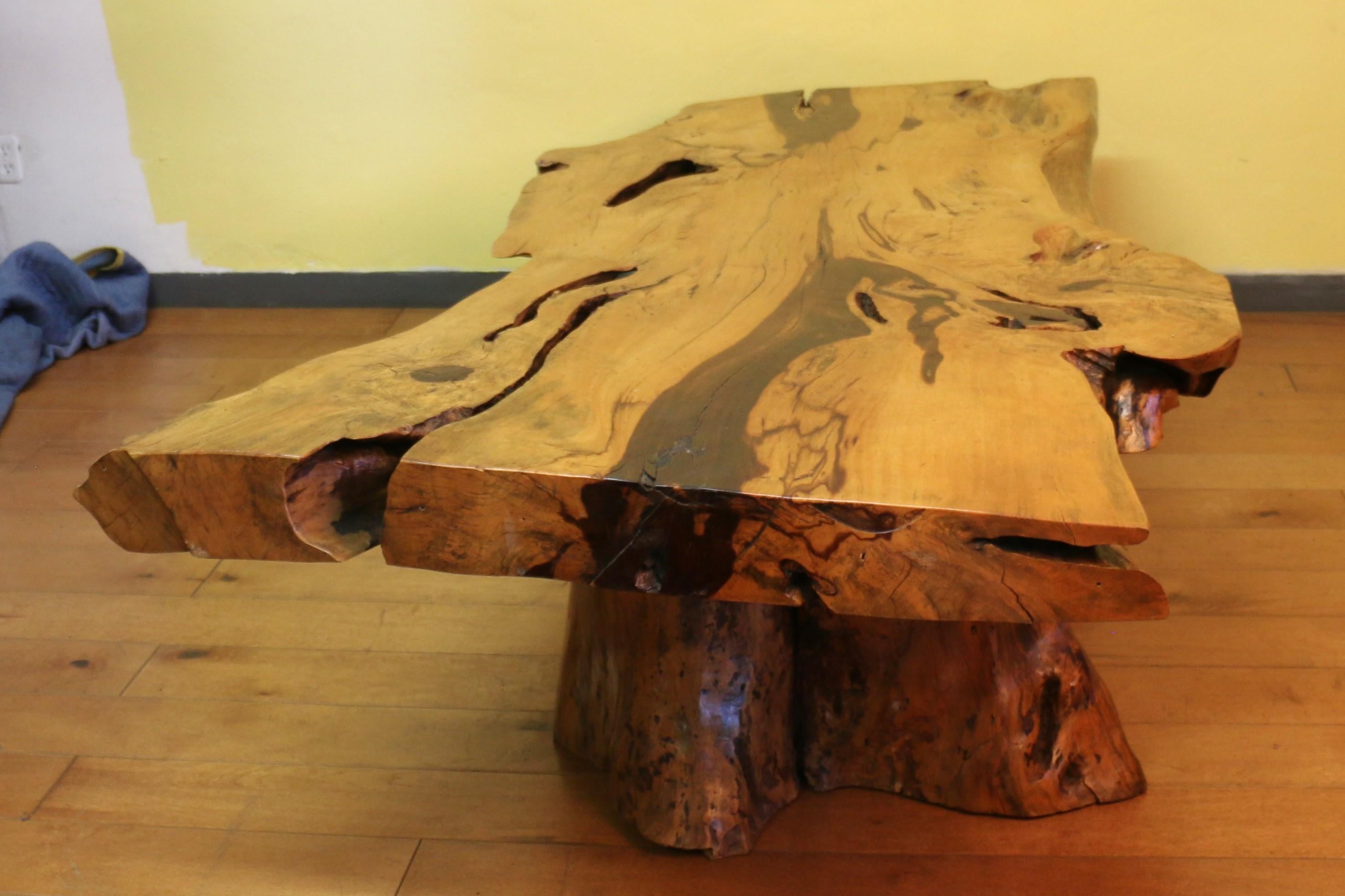 Vintage Burl Wood Coffee Table With Solid Tree Trunk Bases For Sale 1