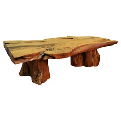 Vintage Burl Wood Couchtisch mit massivem Baumstamm Basen