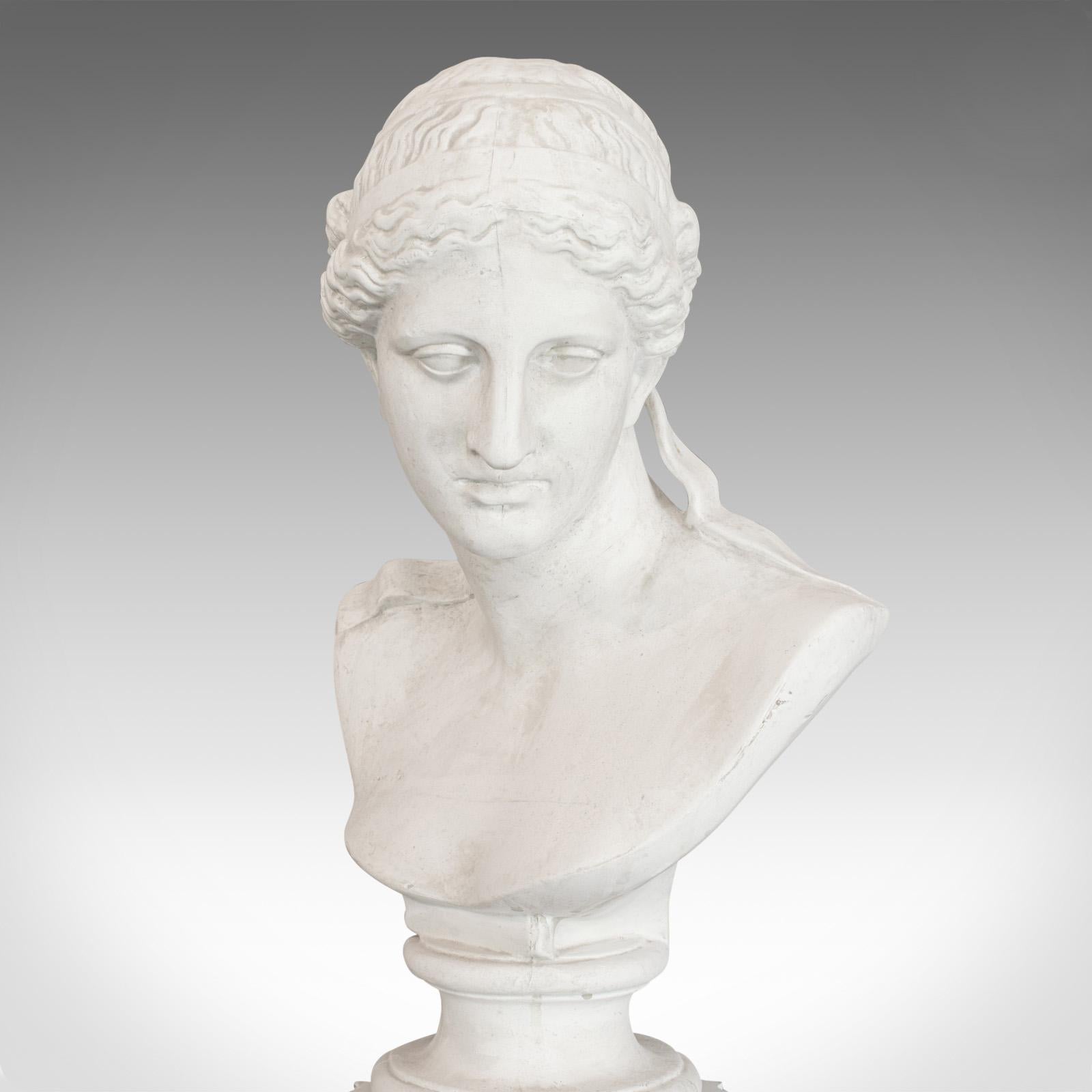 Vintage Bust on Pedestal, English, Plaster, Female Portrait, Doric Column 2