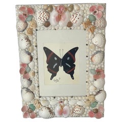 Vintage Schmetterling Collage in Shell verkrusteten Rahmen