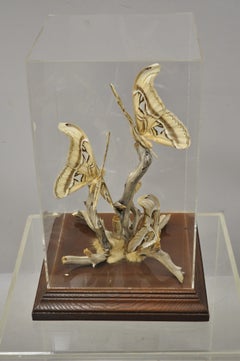 Vintage Butterfly Terrarium Naturalistic Sculpture Plexiglass Wood Display Case