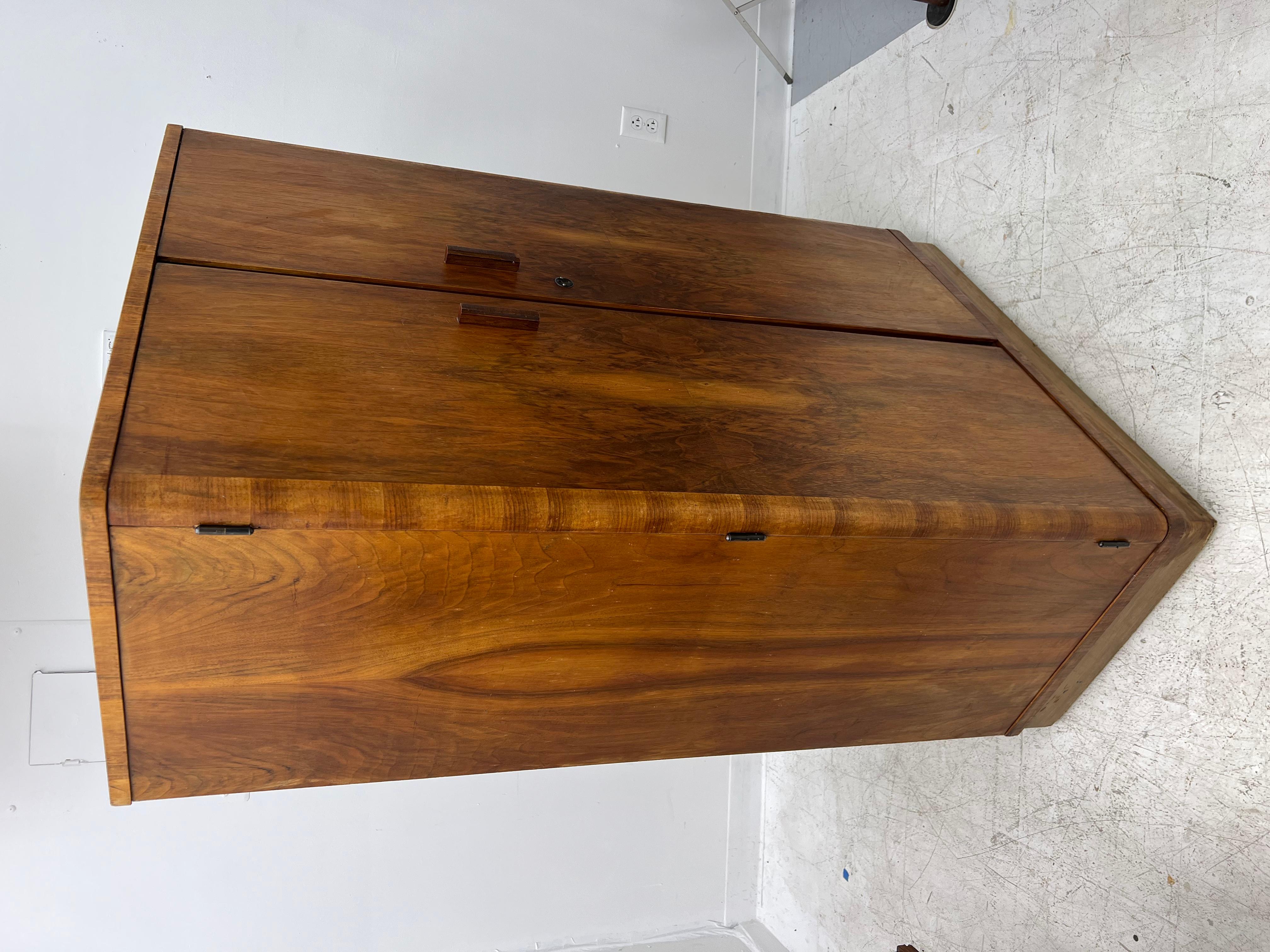 Vintage Cabinet with Gorgeous Wood Grain For Sale 1