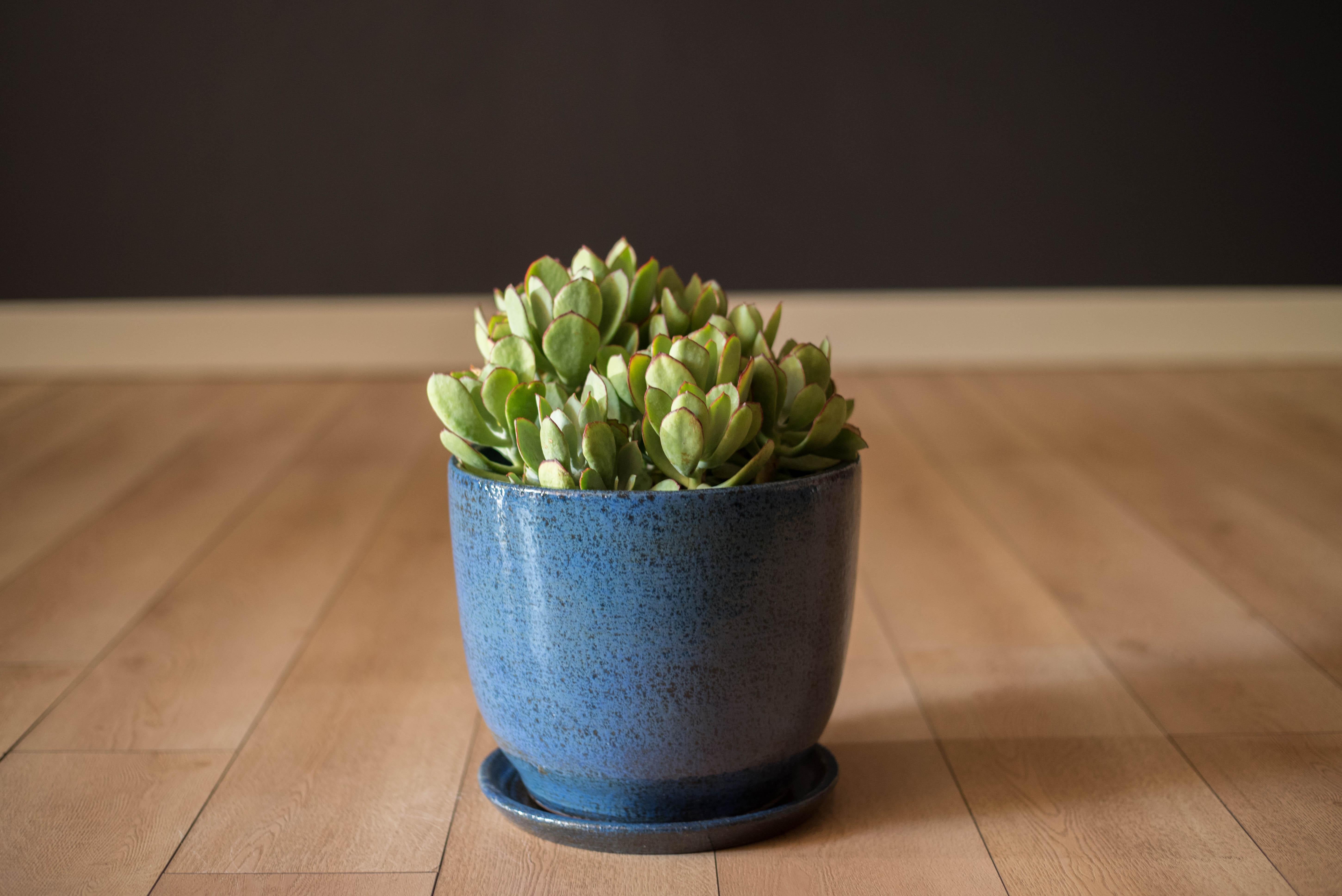 Jardinera de cerámica moderna de mediados de siglo fabricada por Gainey Ceramics de La Verne, California, hacia la década de 1960. Presenta un vibrante acabado texturizado azul de alto brillo con toques de matices negros y verdes. Recomendado para 