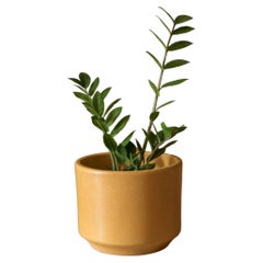 Vintage California Ochre Yellow Planter Pot by Gainey Ceramics