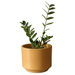 Retro California Ochre Yellow Planter Pot by Gainey Ceramics