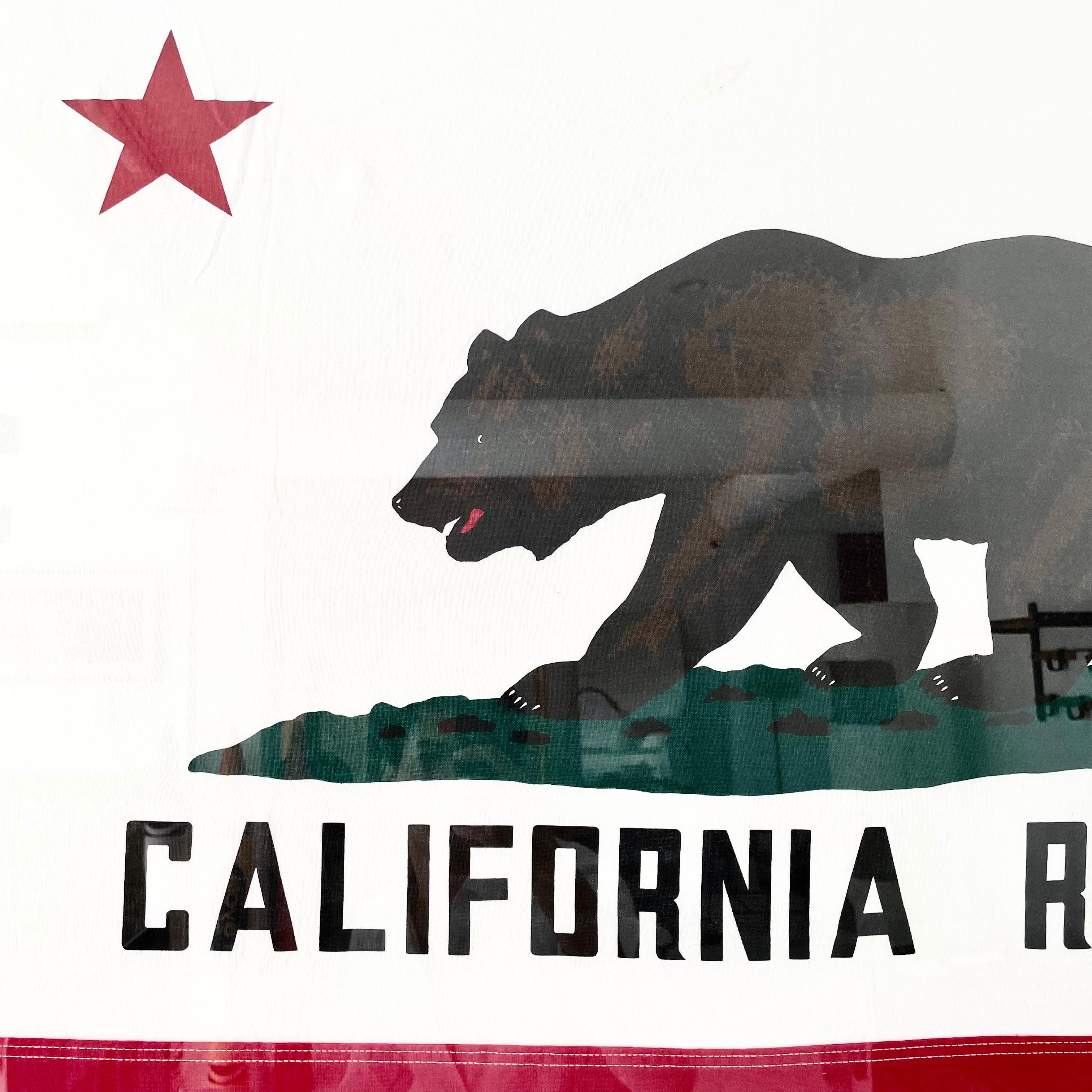 Plexiglas Drapeau d'État de la République de Californie vintage en vente
