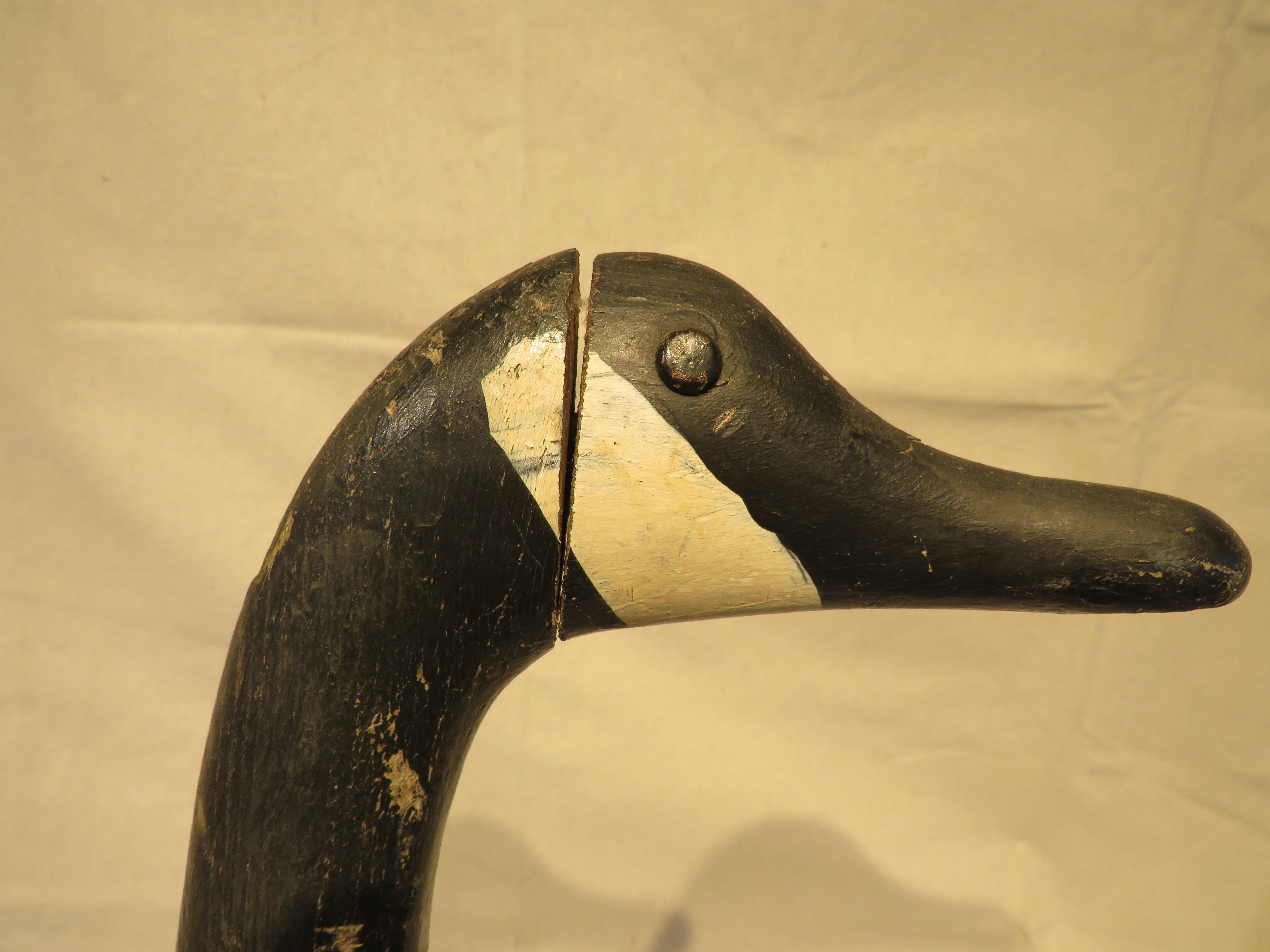 Vintage Canada standing Goose Decoy on bent nail legs, by carver of birds and working decoys William 