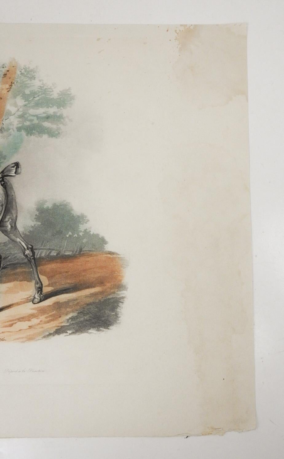 Francese Acquatinta equestre d'epoca di Carle Vernet in vendita