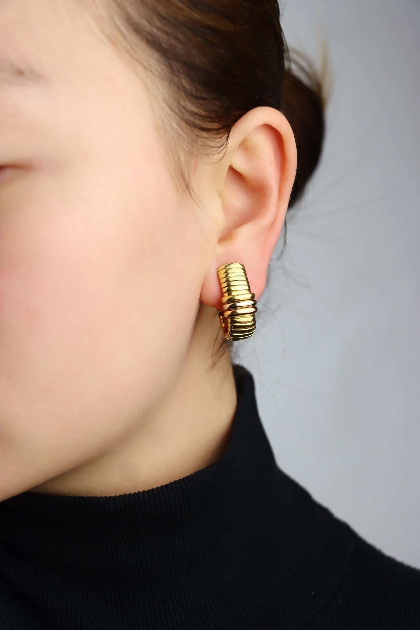 Pendientes Tubogas Cartier de oro amarillo y blanco de 18 quilates

Marcado:
Cartier
18K 750
Italia

Dimensiones aproximadas:
2,3 cm (Longitud) 
1,1 cm (Anchura)
21,2 gramos de peso.
