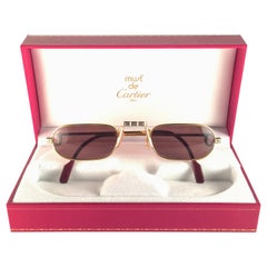 Vintage Cartier Louis Santos Demi Lune 50mm Reading Gold Plated Sunglasses