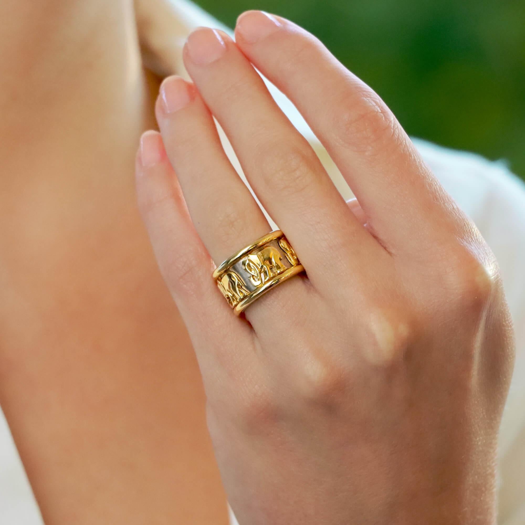 ring mit elefanten