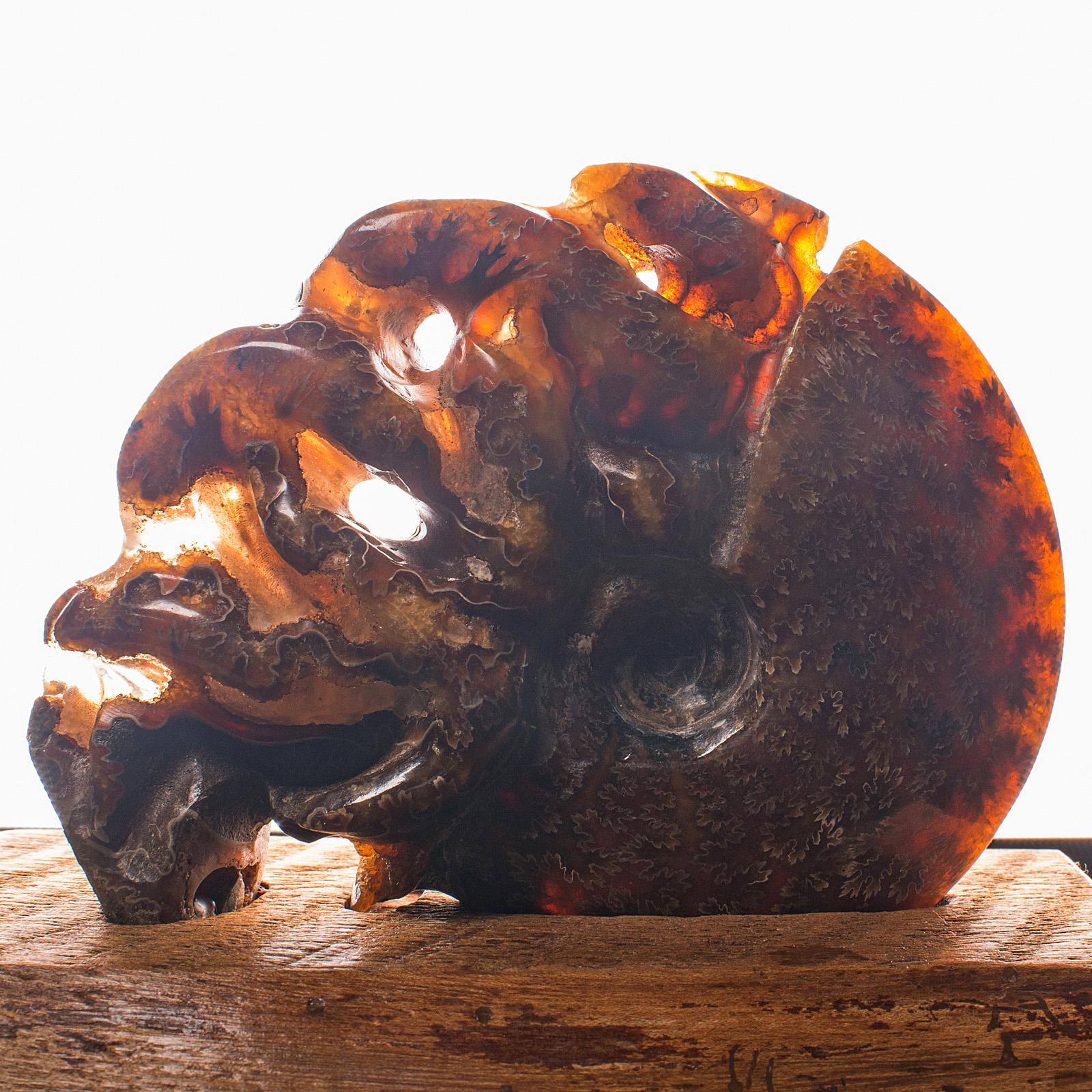Geschnitztes dekoratives Ammonit-Deko-Objekt, afrikanisch, versteinert, ausgestellt, kretatisch, um 1970 im Angebot 3