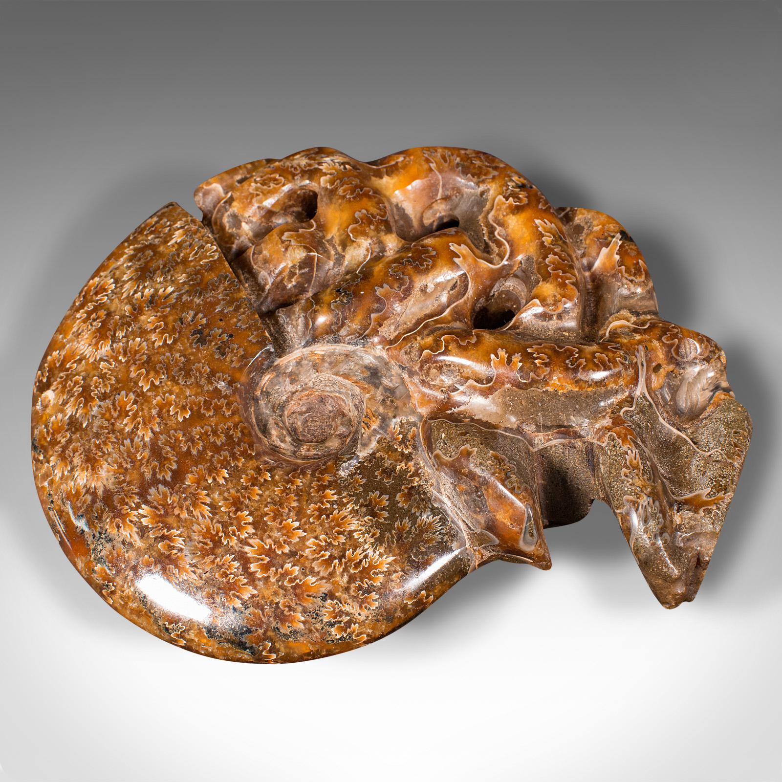 Geschnitztes dekoratives Ammonit-Deko-Objekt, afrikanisch, versteinert, ausgestellt, kretatisch, um 1970 im Angebot 2