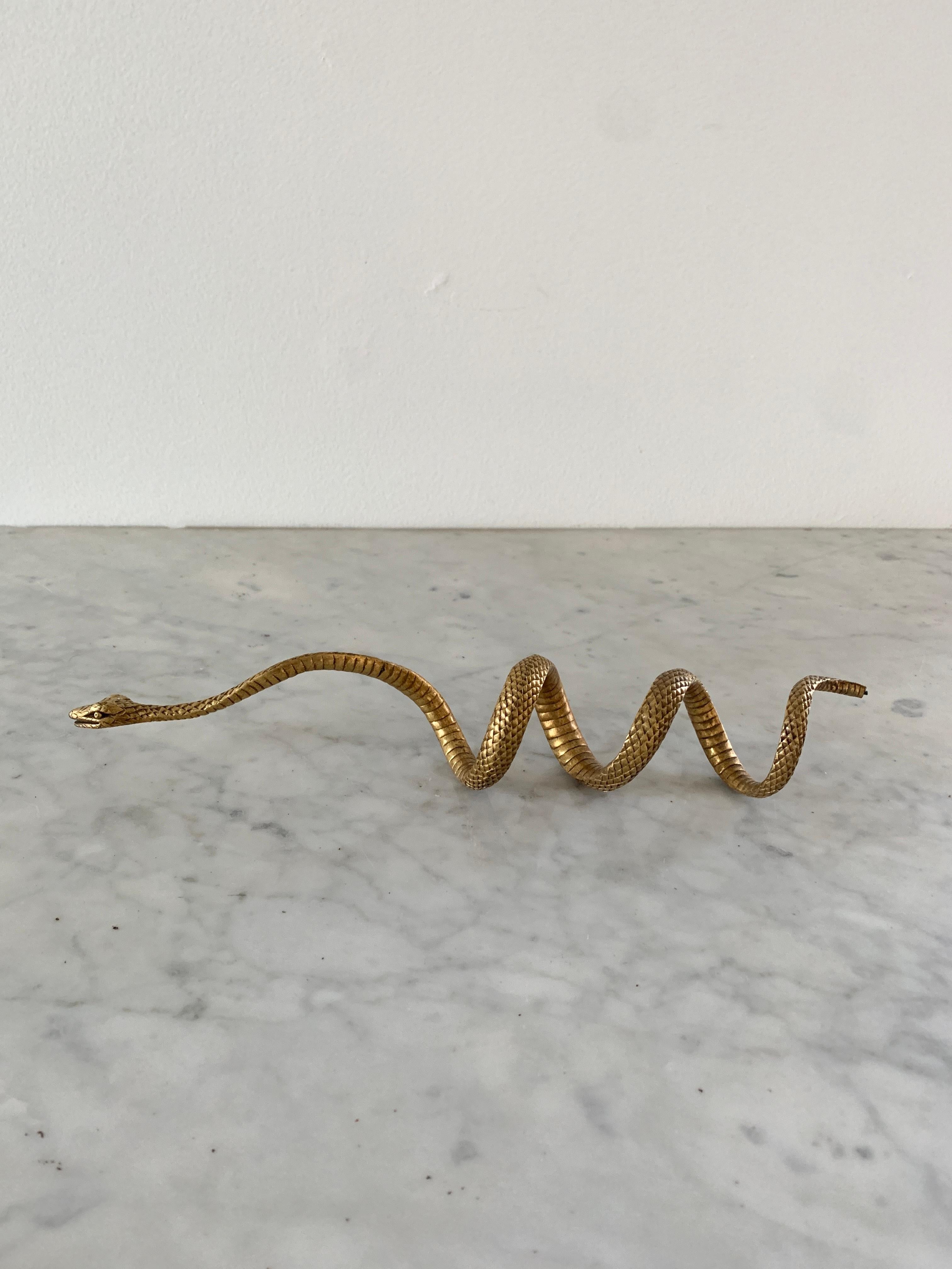 coiling snake
