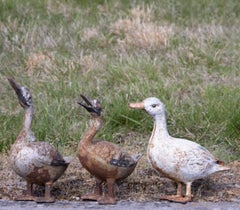 Vintage Cast Iron Figural Garden Mother Goose & Three Goslings