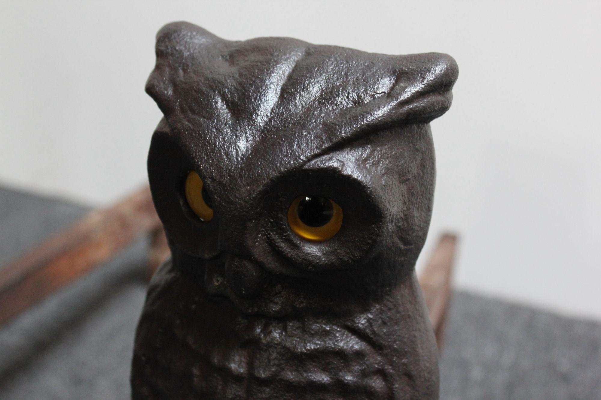 Vintage Cast Iron Owl Andirons with Glass Eyes 7