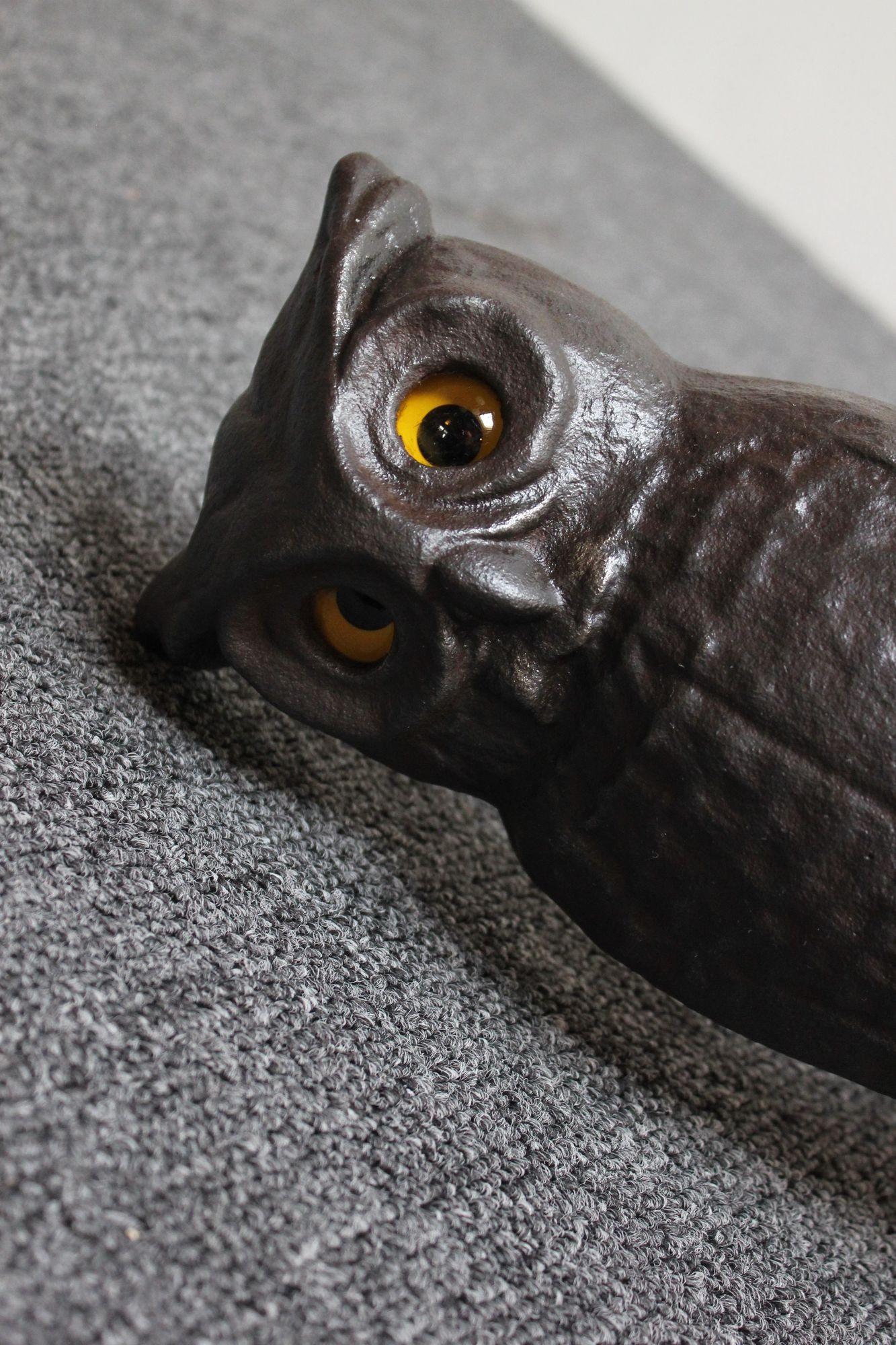 Vintage Cast Iron Owl Andirons with Glass Eyes 8