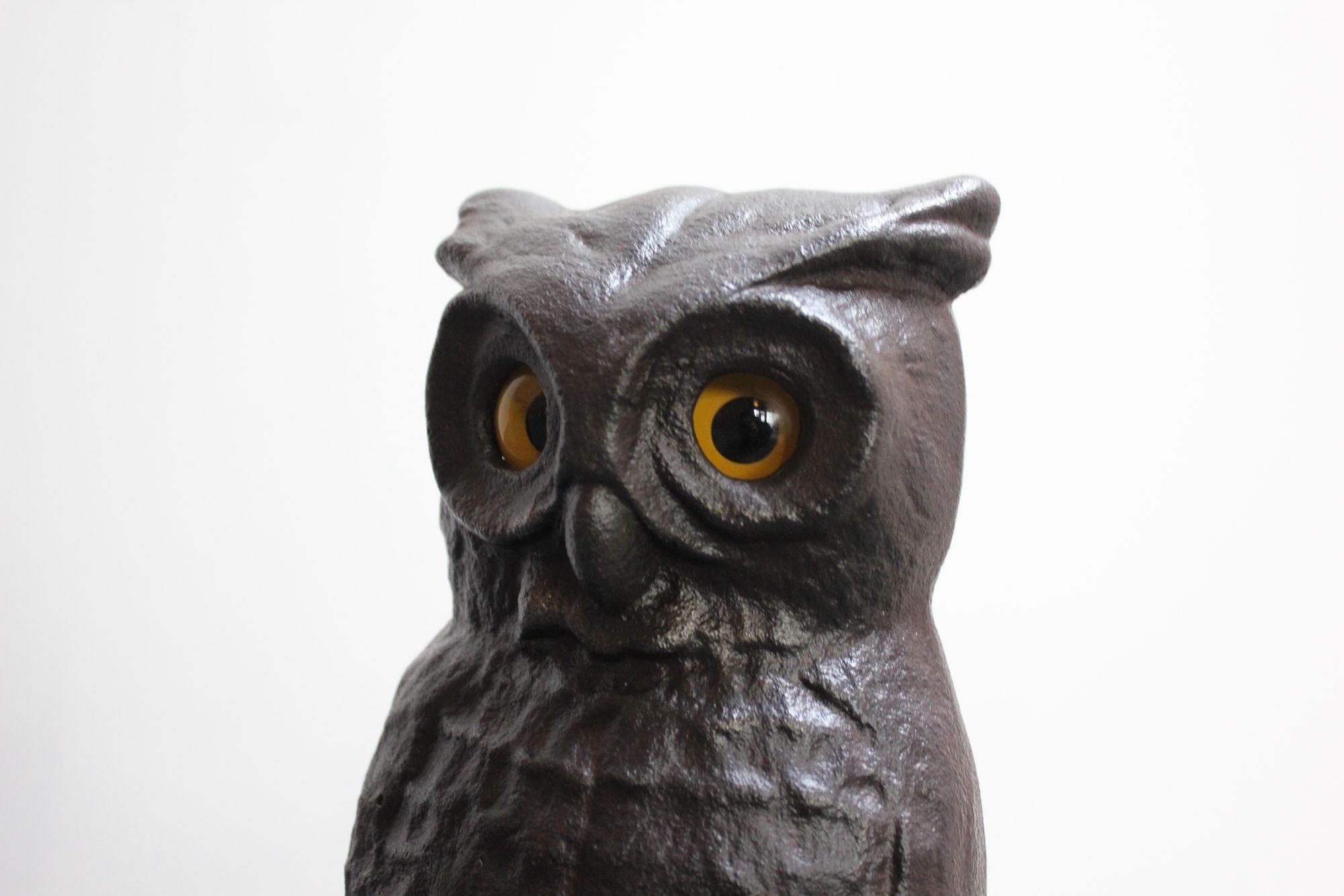 American Vintage Cast Iron Owl Andirons with Glass Eyes