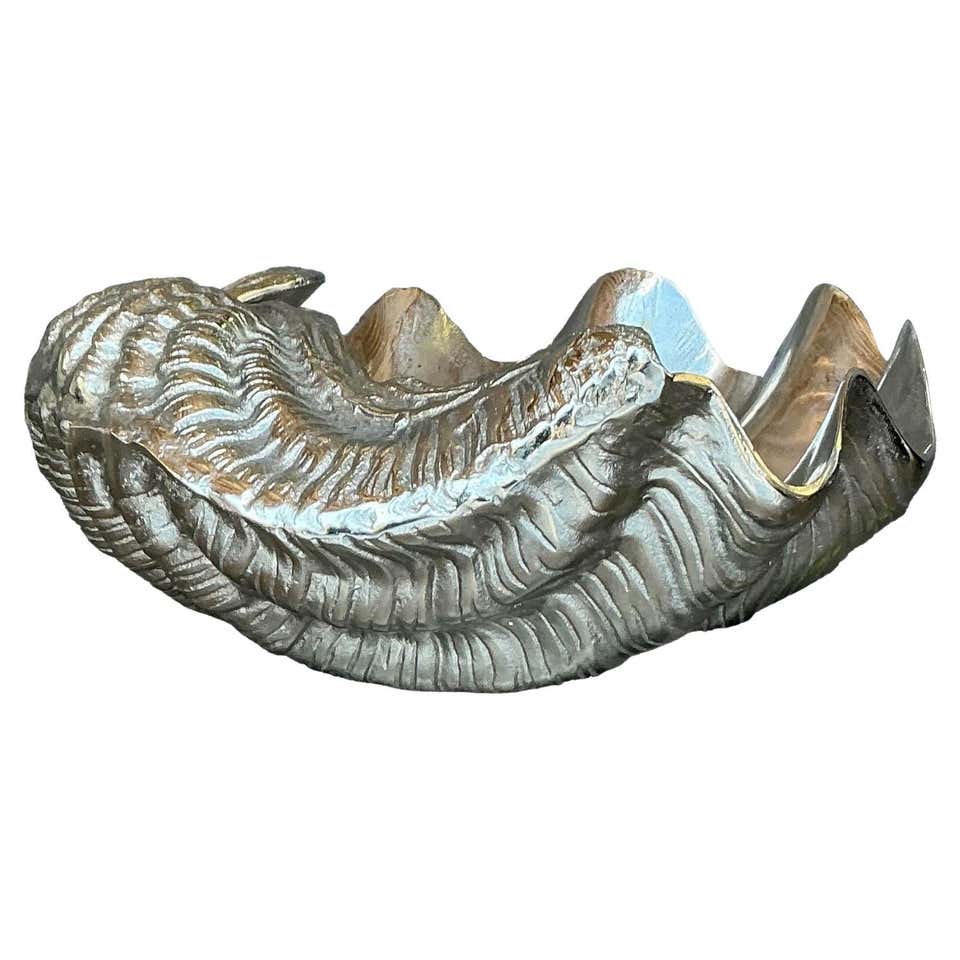 Clamshell Metal Giant Clam Shells - 25 For Sale on 1stDibs | giant clam shell for sale ...