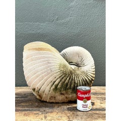 Vintage Cast Nautilus Shell Planter