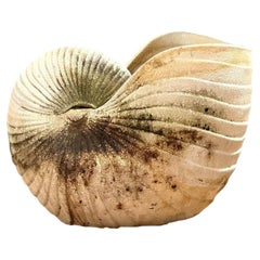 Vintage Cast Nautilus Shell Planter