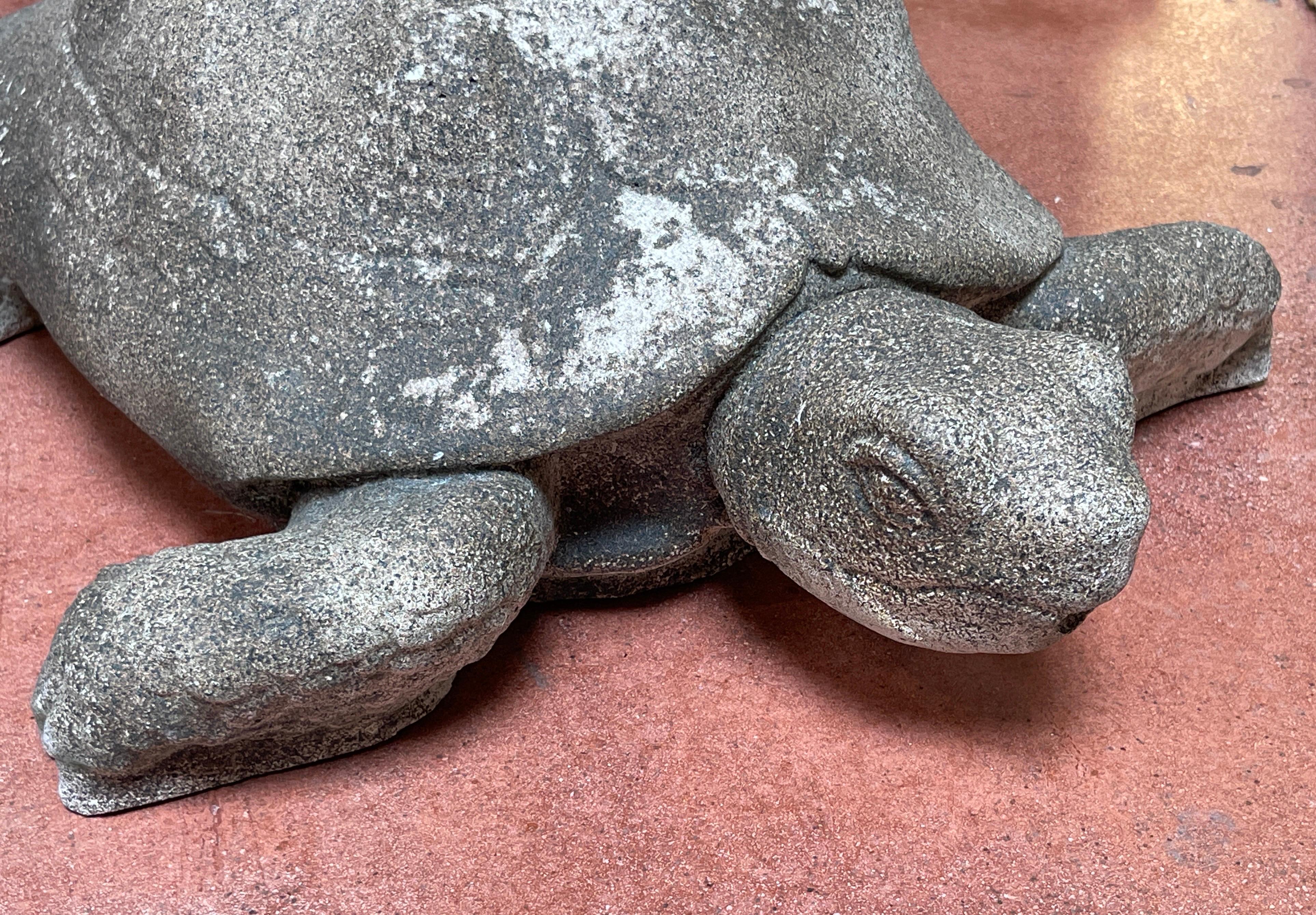 stoned turtle