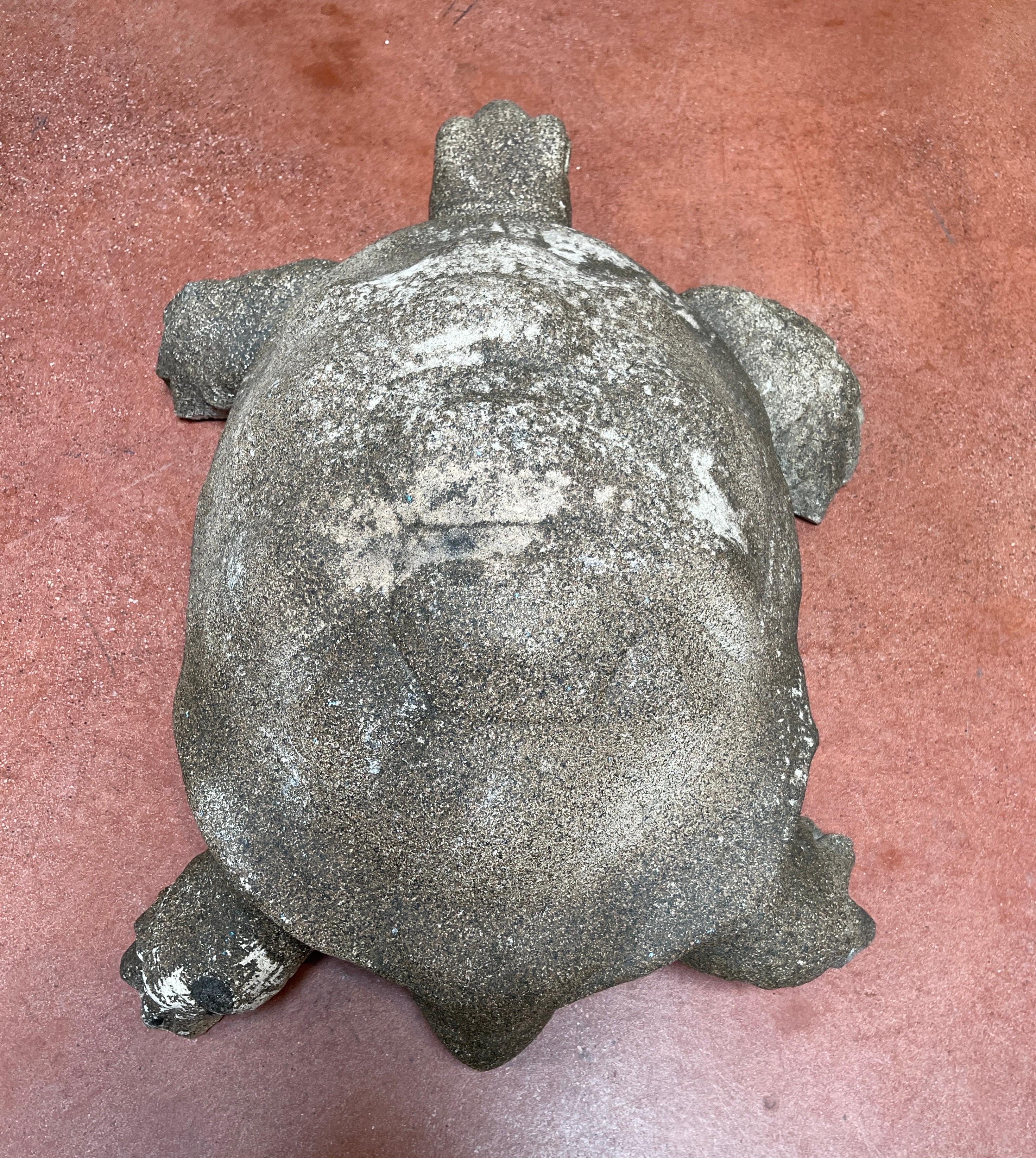 turtle stone