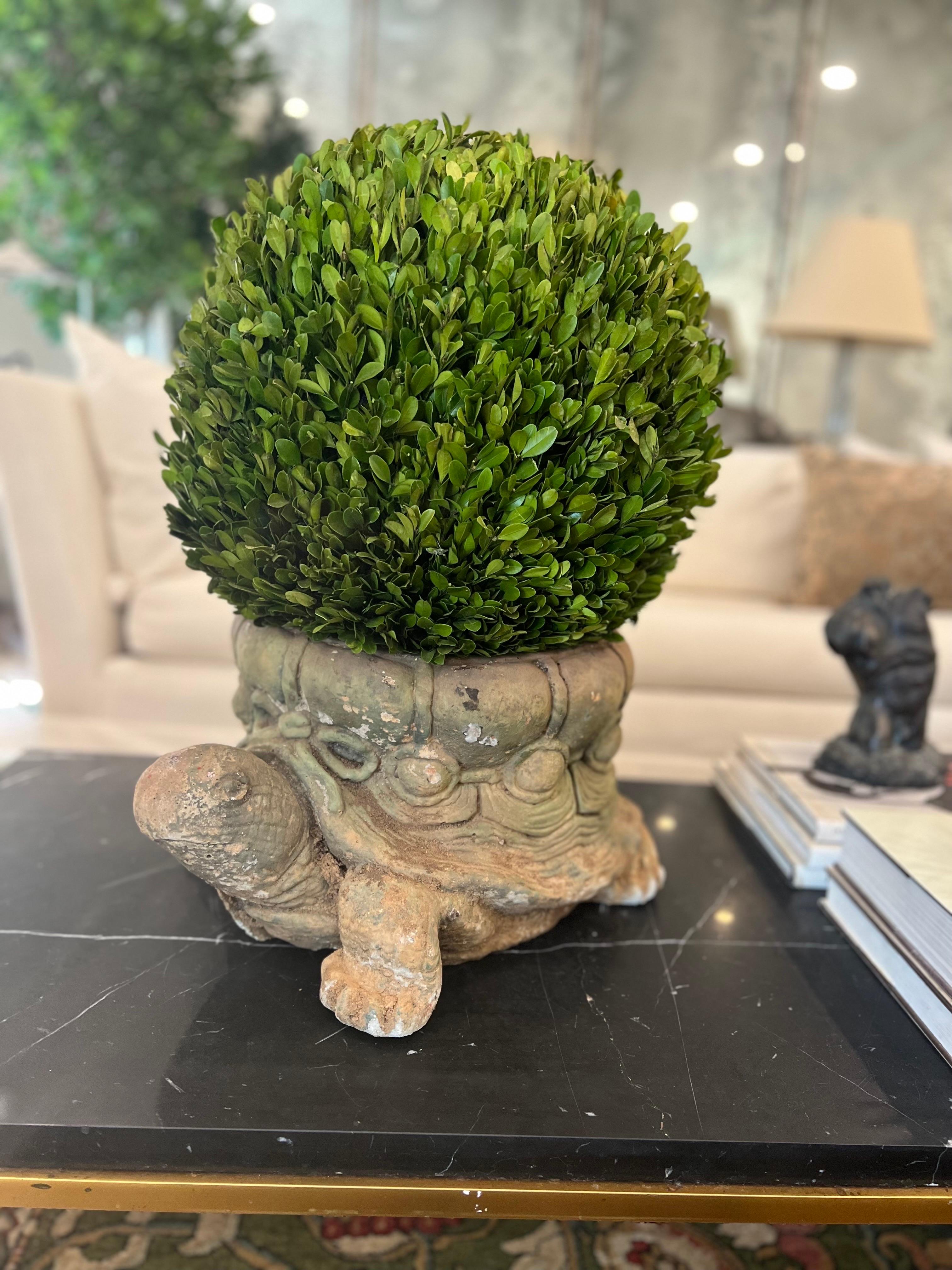 Vintage Cast Stone Turtle/Tortoise Planter For Sale 4