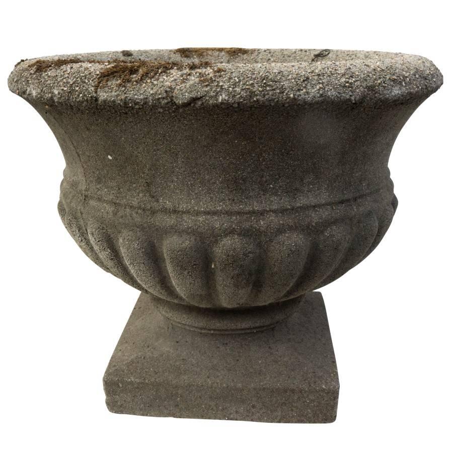 This is a petite stone urn with a fluted mid section and European born moss patina along the overturned upper lip. The textured stone look blends well among your garden or as an indoor planter.

 