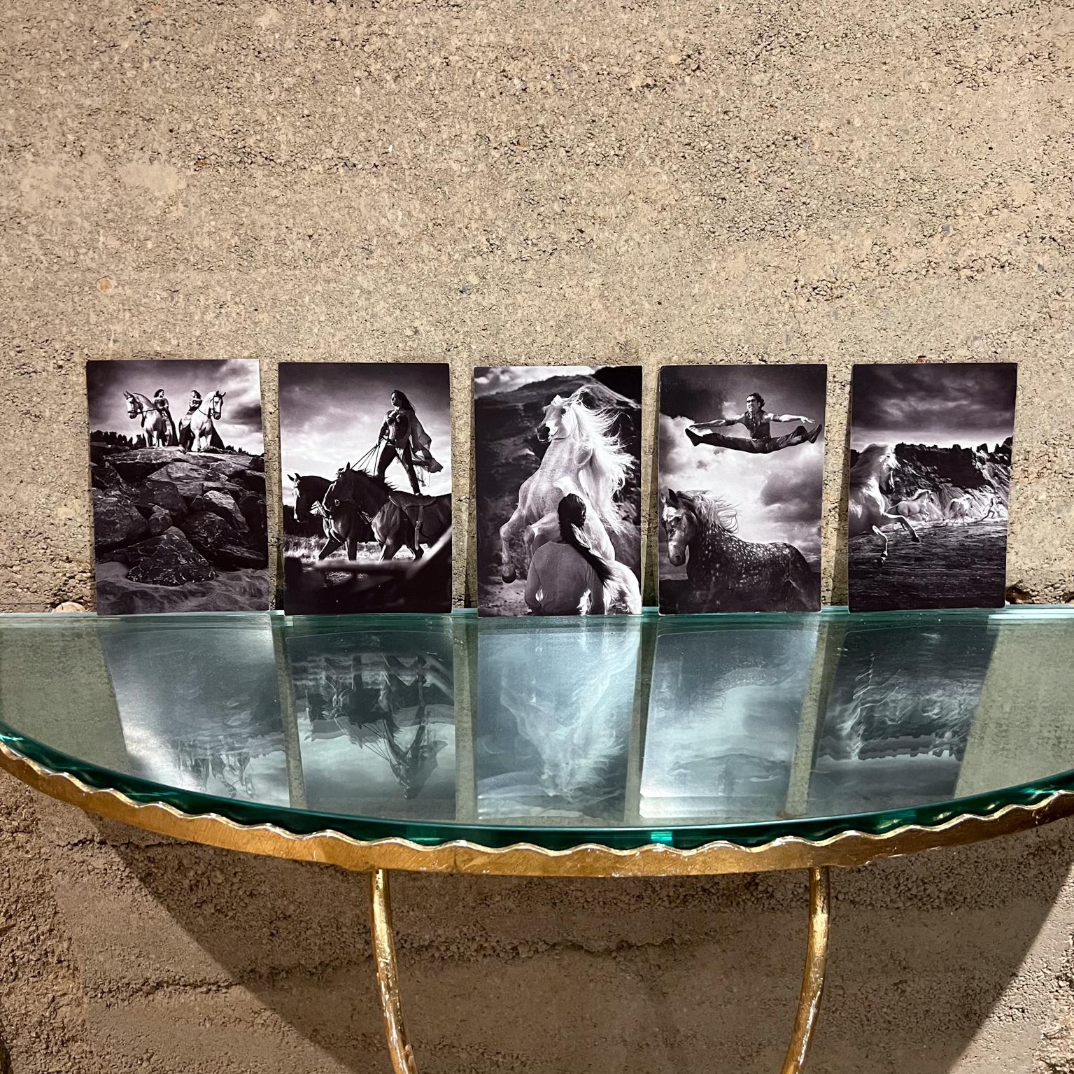 Modern Vintage Cavalia Set of Five Post Card Prints Black and White Canada For Sale