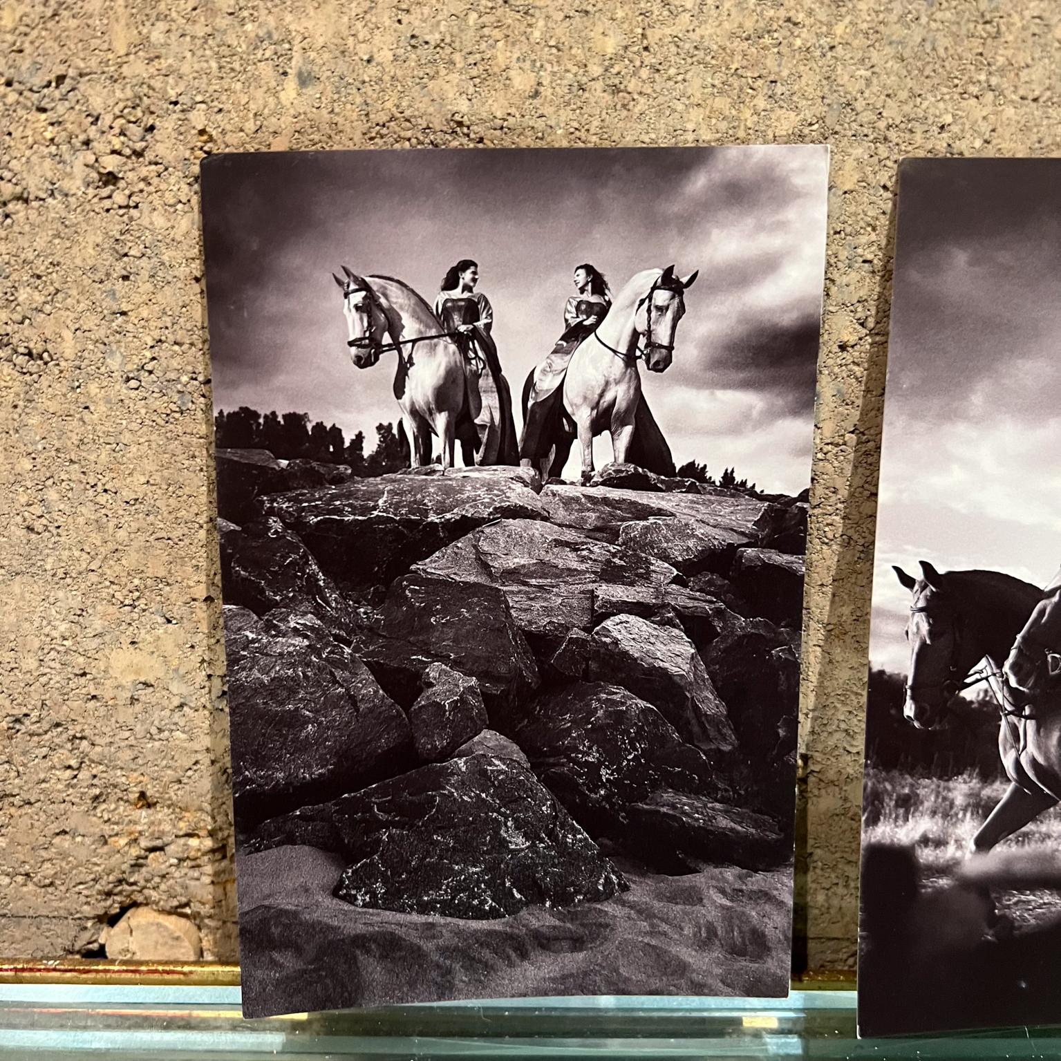 Vintage Cavalia-Set aus fünf Postkartendrucken in Schwarz und Weiß, Kanada (Kanadisch) im Angebot