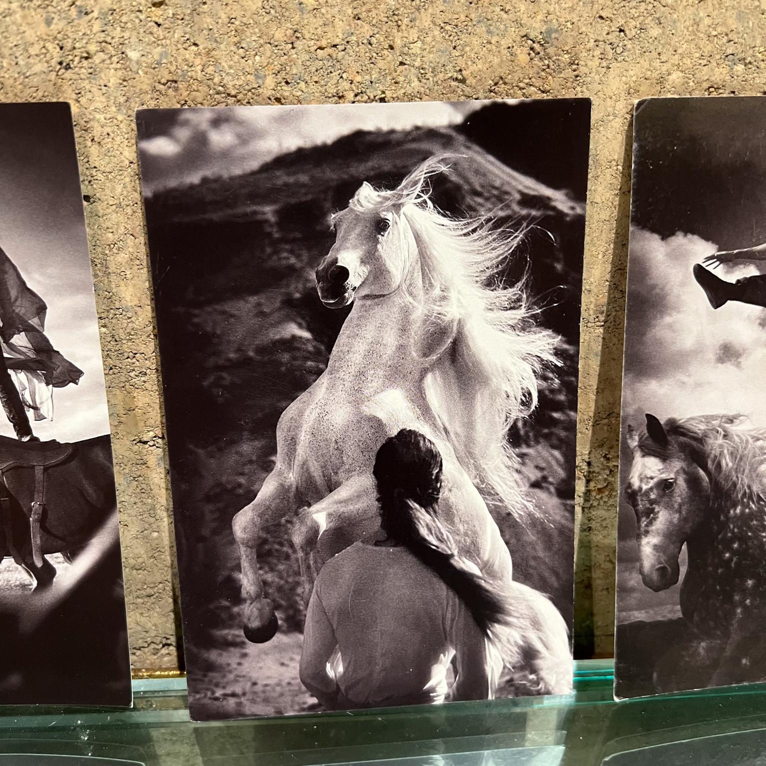 20th Century Vintage Cavalia Set of Five Post Card Prints Black and White Canada For Sale