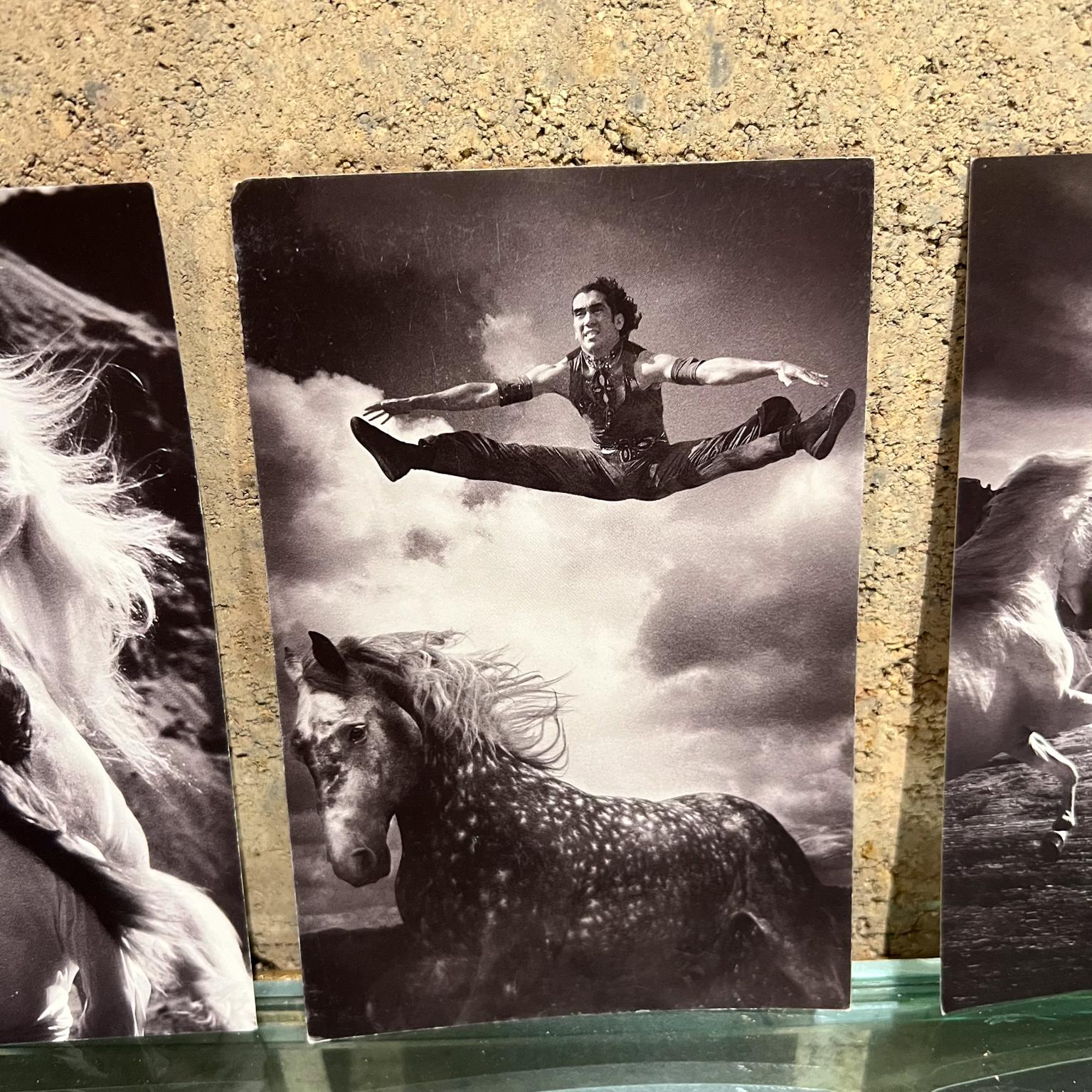 Paper Vintage Cavalia Set of Five Post Card Prints Black and White Canada For Sale