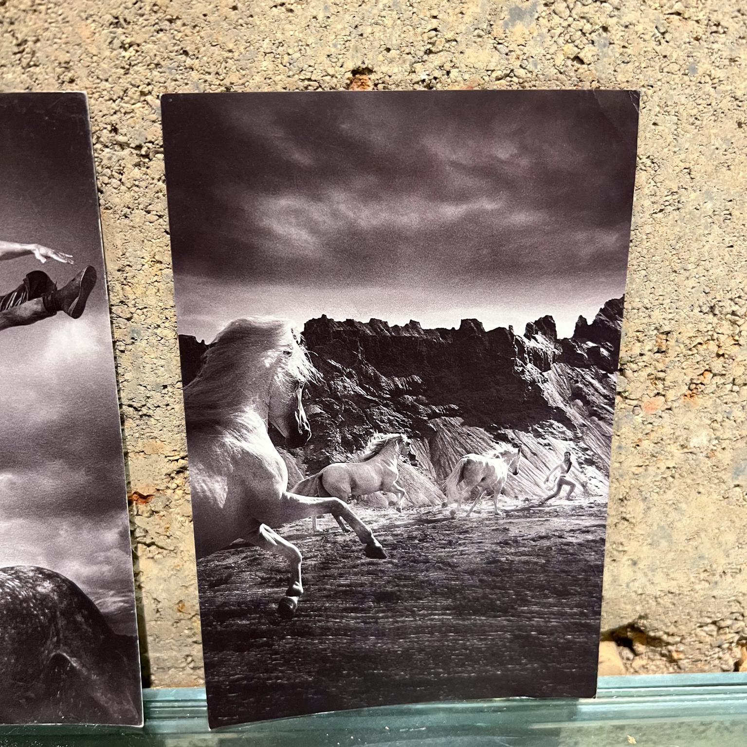 Vintage Cavalia Set of Five Post Card Prints Black and White Canada For Sale 1