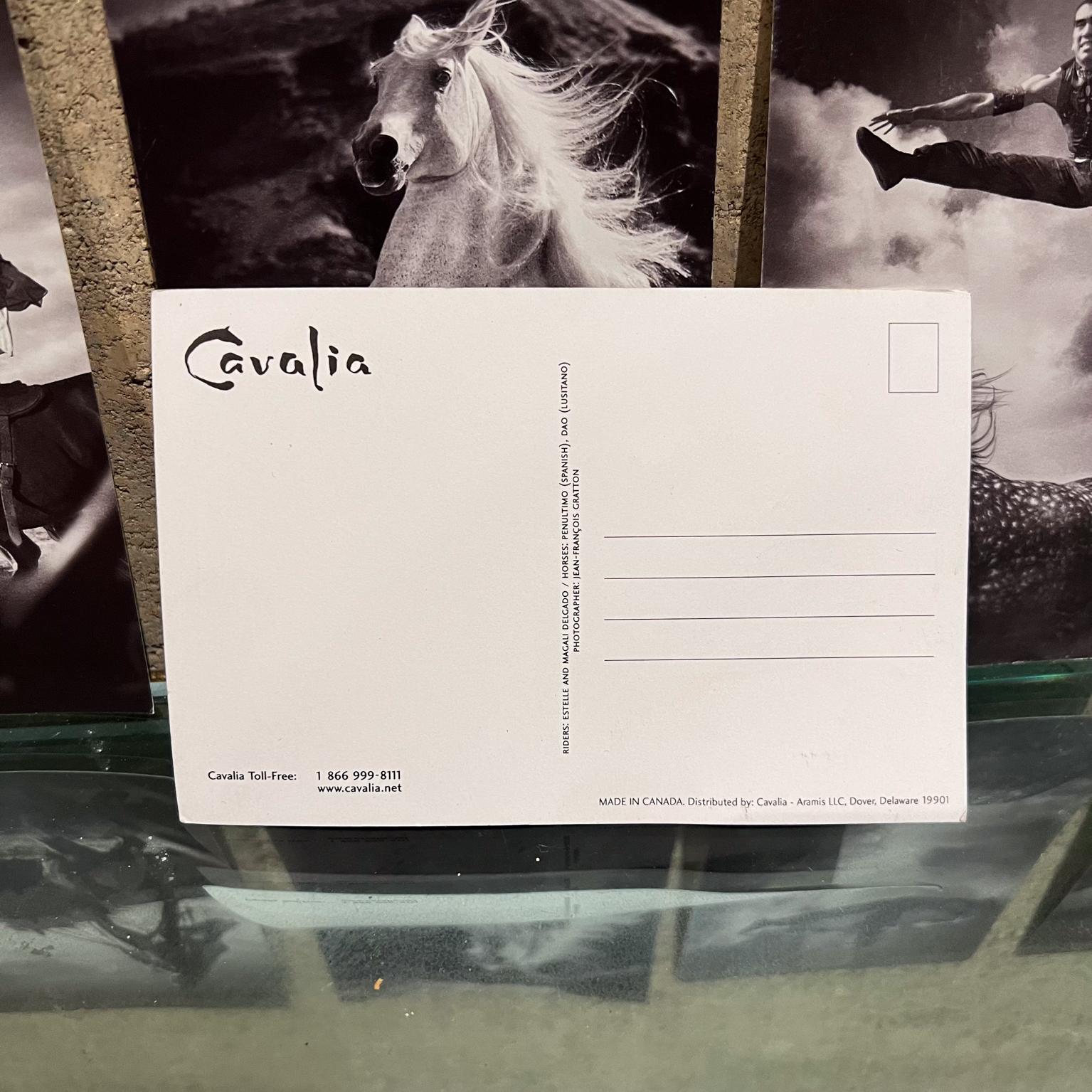 Vintage Cavalia-Set aus fünf Postkartendrucken in Schwarz und Weiß, Kanada im Angebot 2