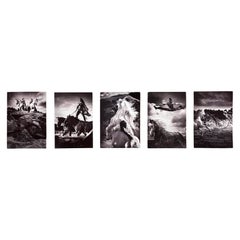 Vintage Cavalia Set of Five Post Card Prints Black and White Canada