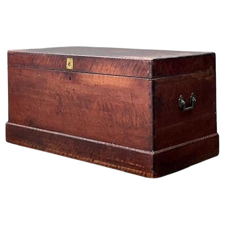 Baule delle navi foderato di cedro vintage in vendita