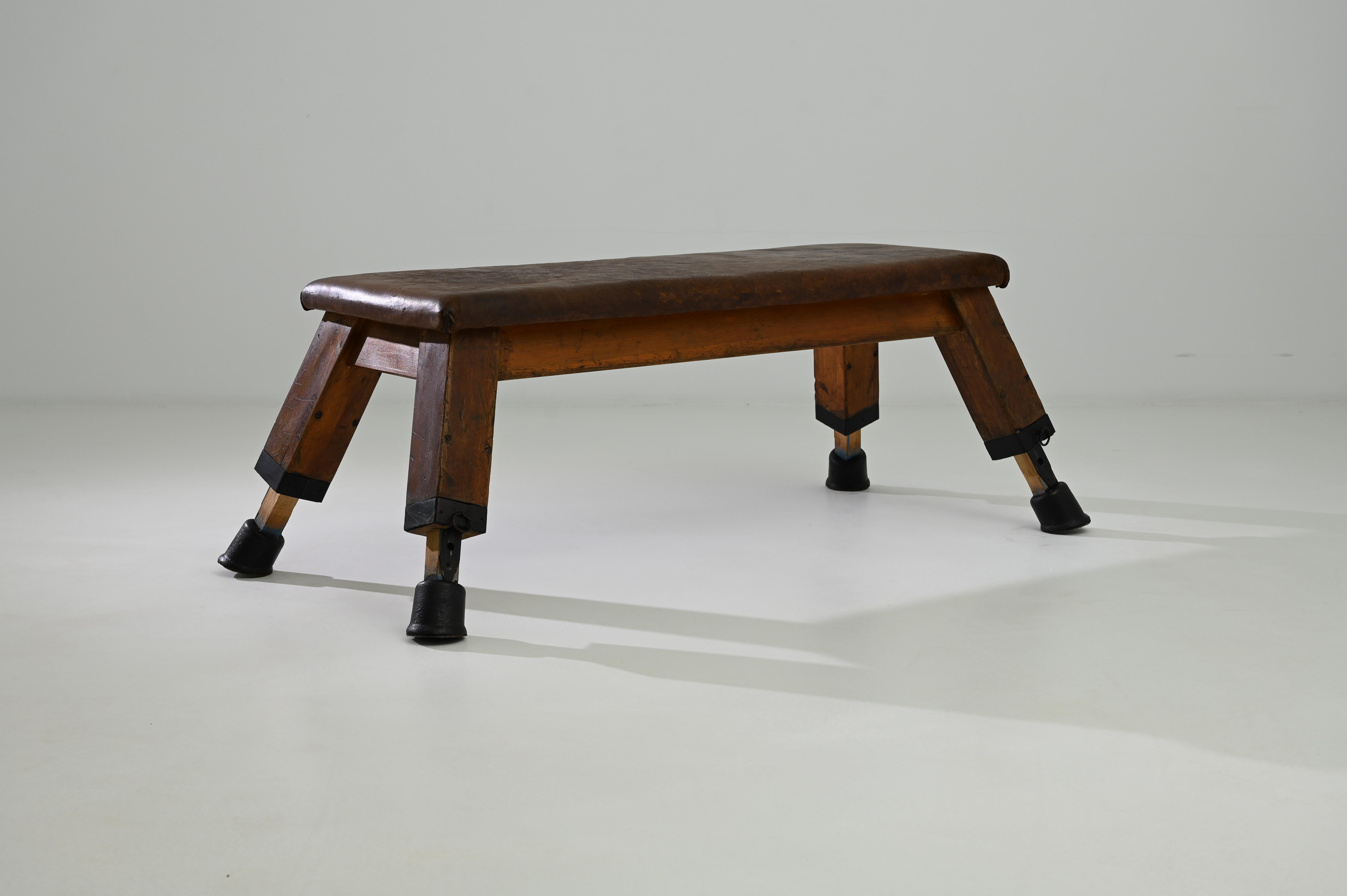 Vintage Central European Leather Pommel Horse 1