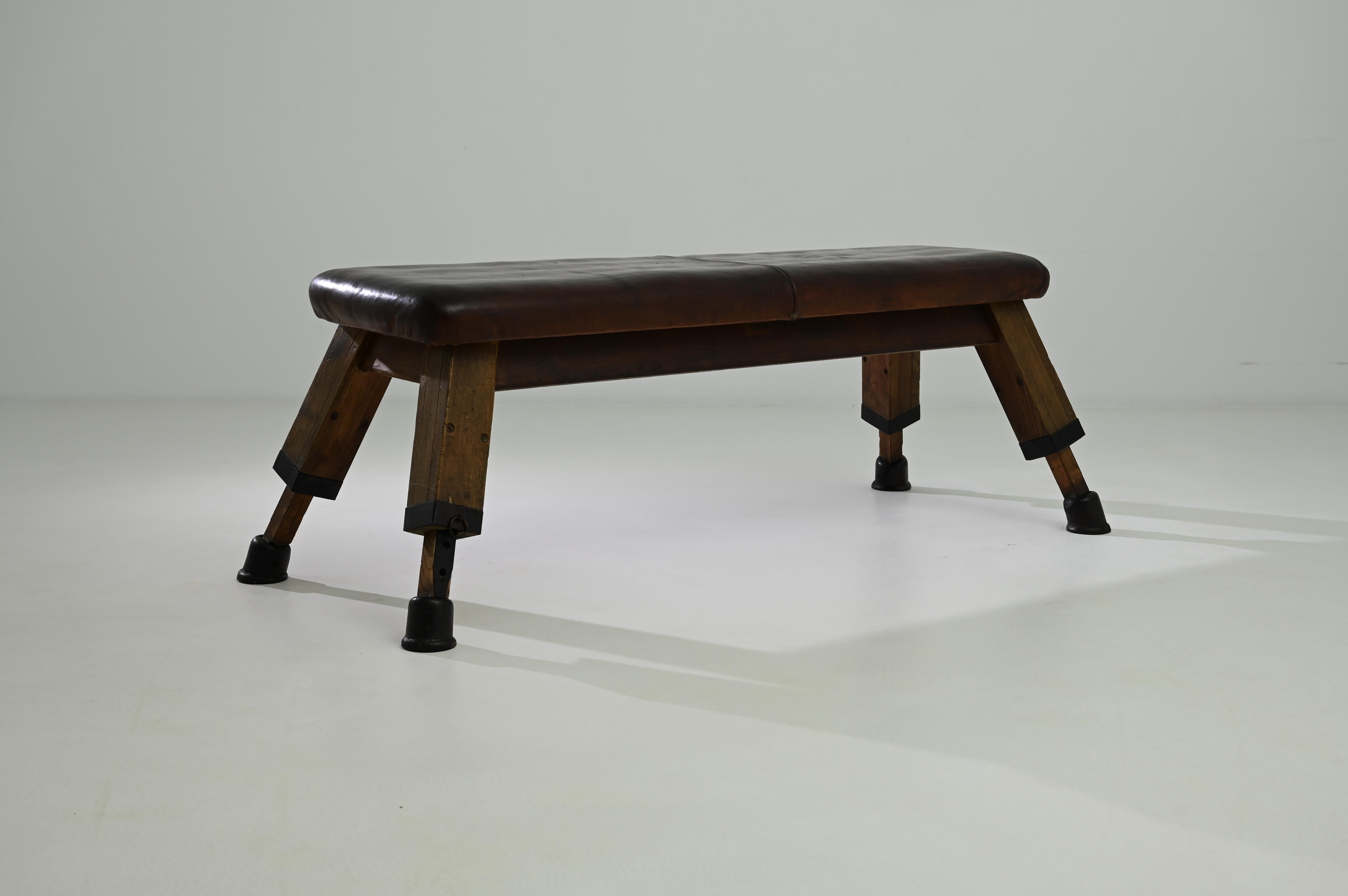 Vintage Central European Leather Pommel Horse 1