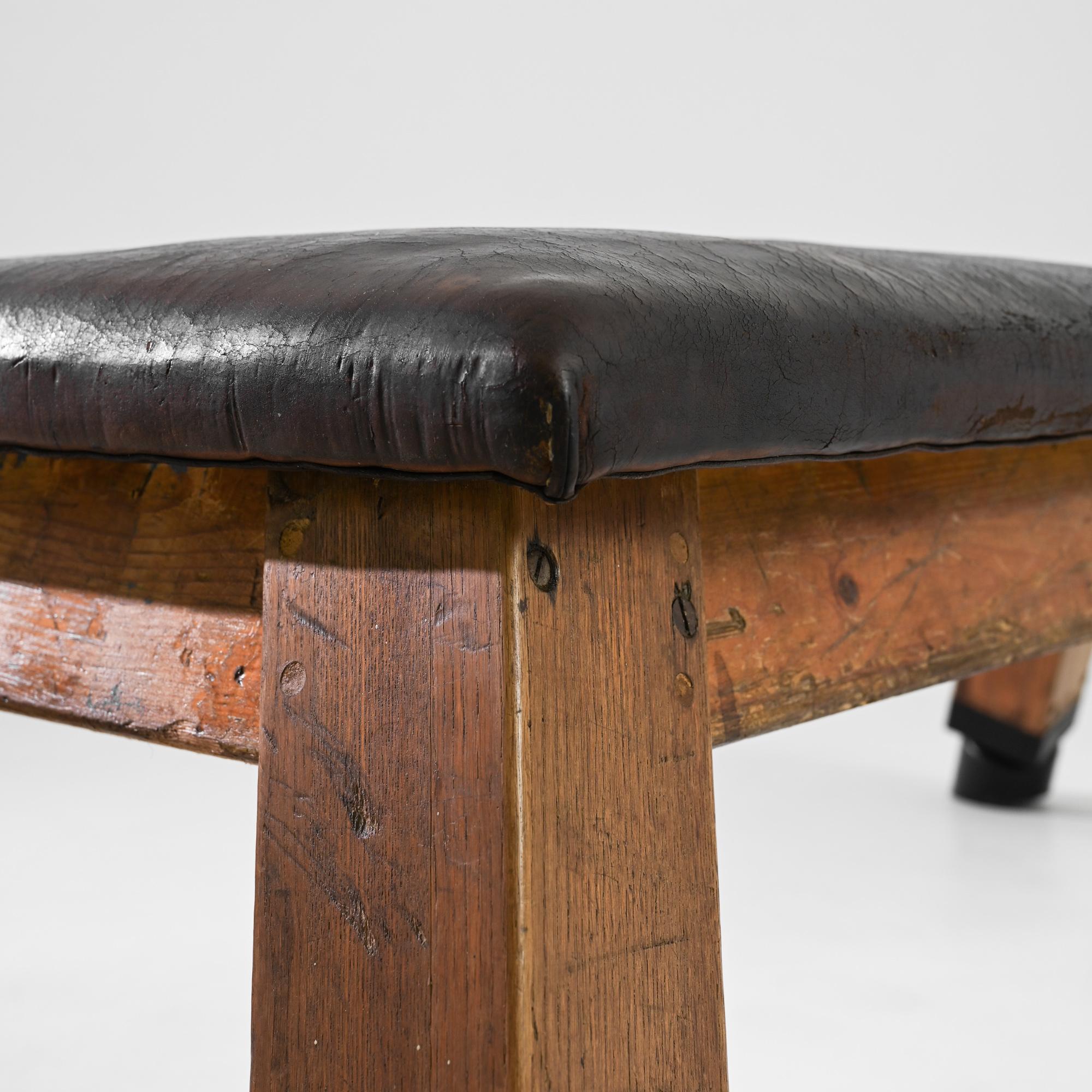Vintage Central European Leather Pommel Horse 1