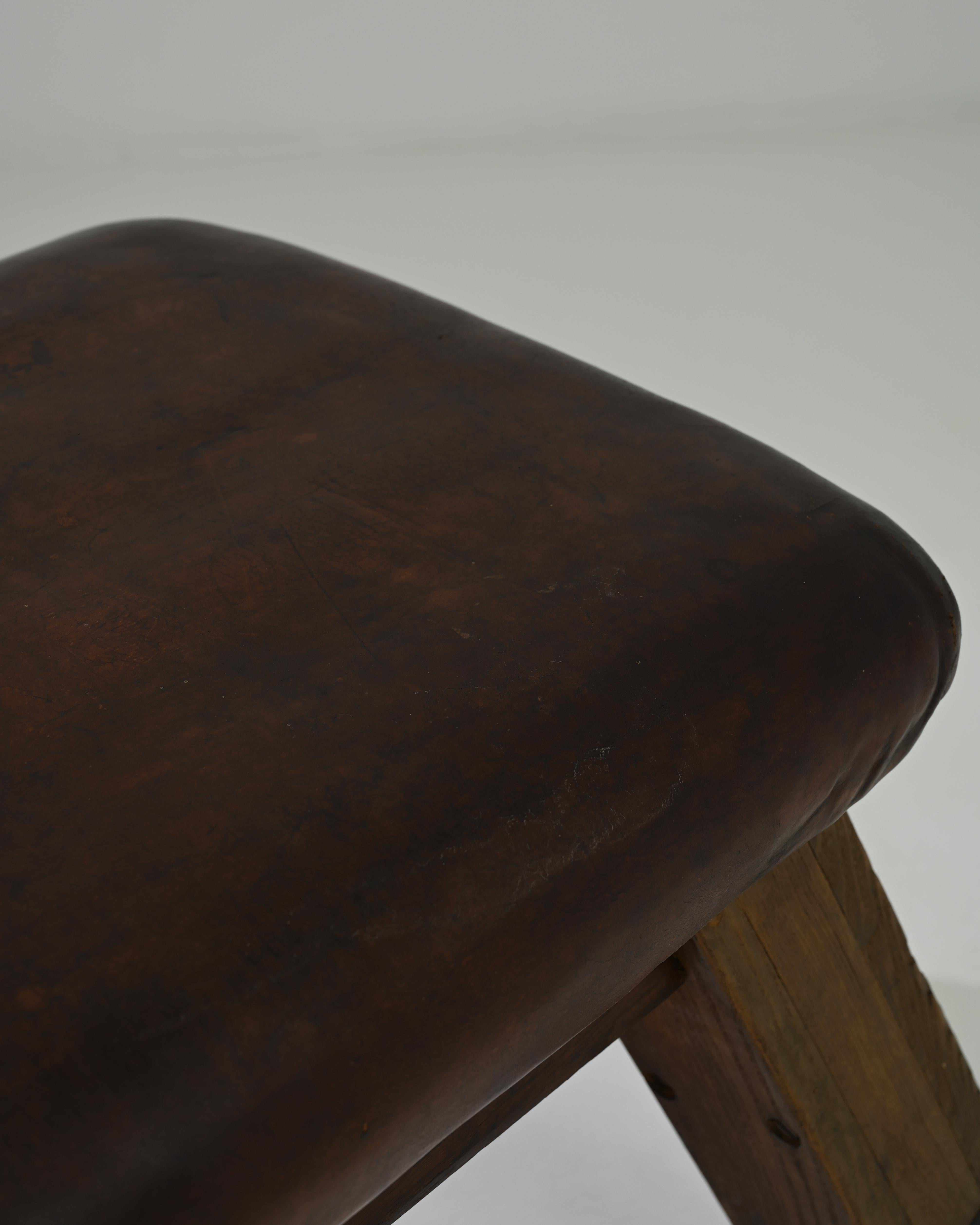 Vintage Central European Leather Pommel Horse 2