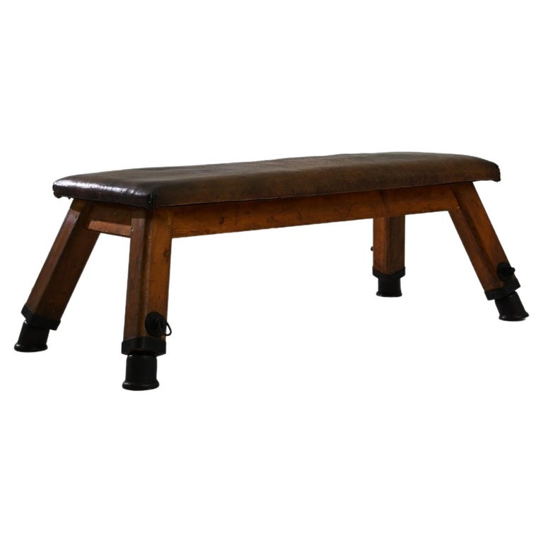 Vintage Central European Leather Pommel Horse For Sale at 1stDibs