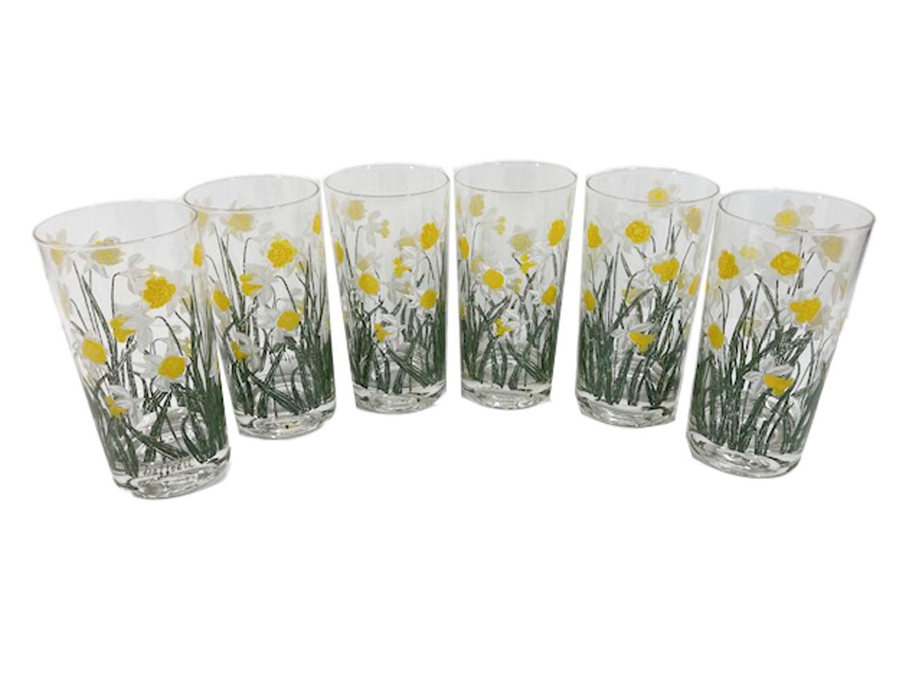 Det of 6 Cera glassware highball glasses decorated with daffodils in green, yellow and white enamels.