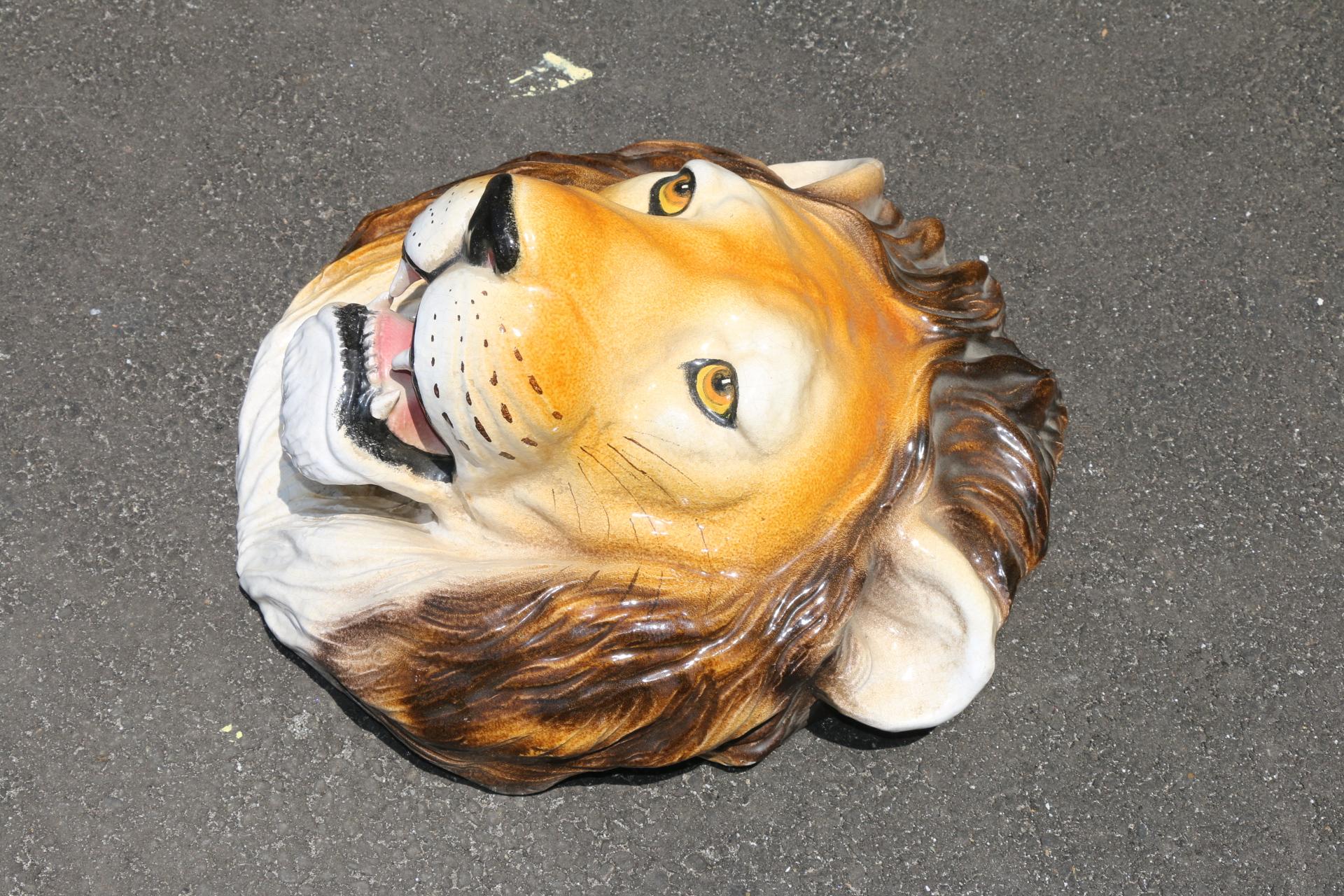 real lion head for sale